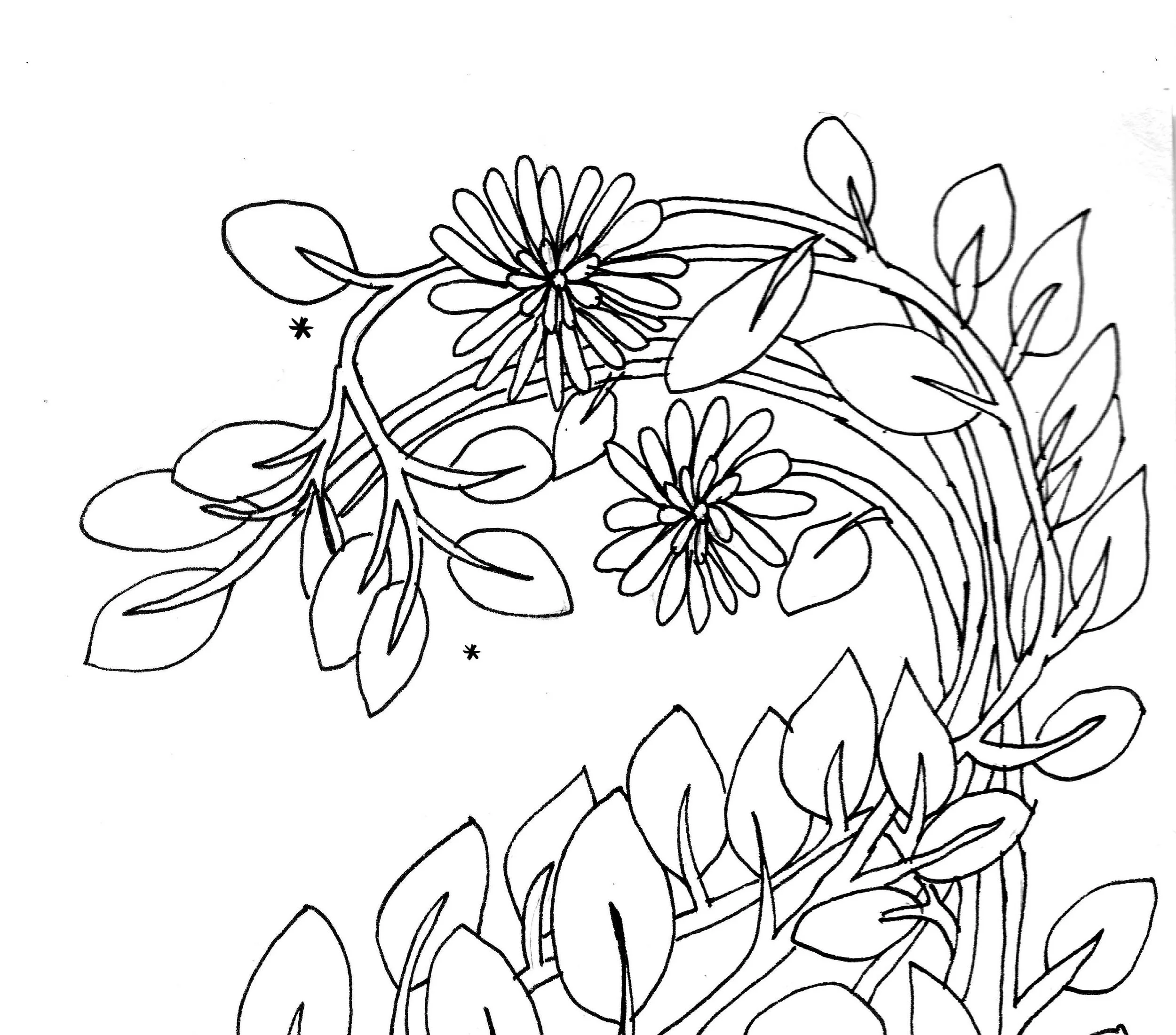 thumbnail.jpg