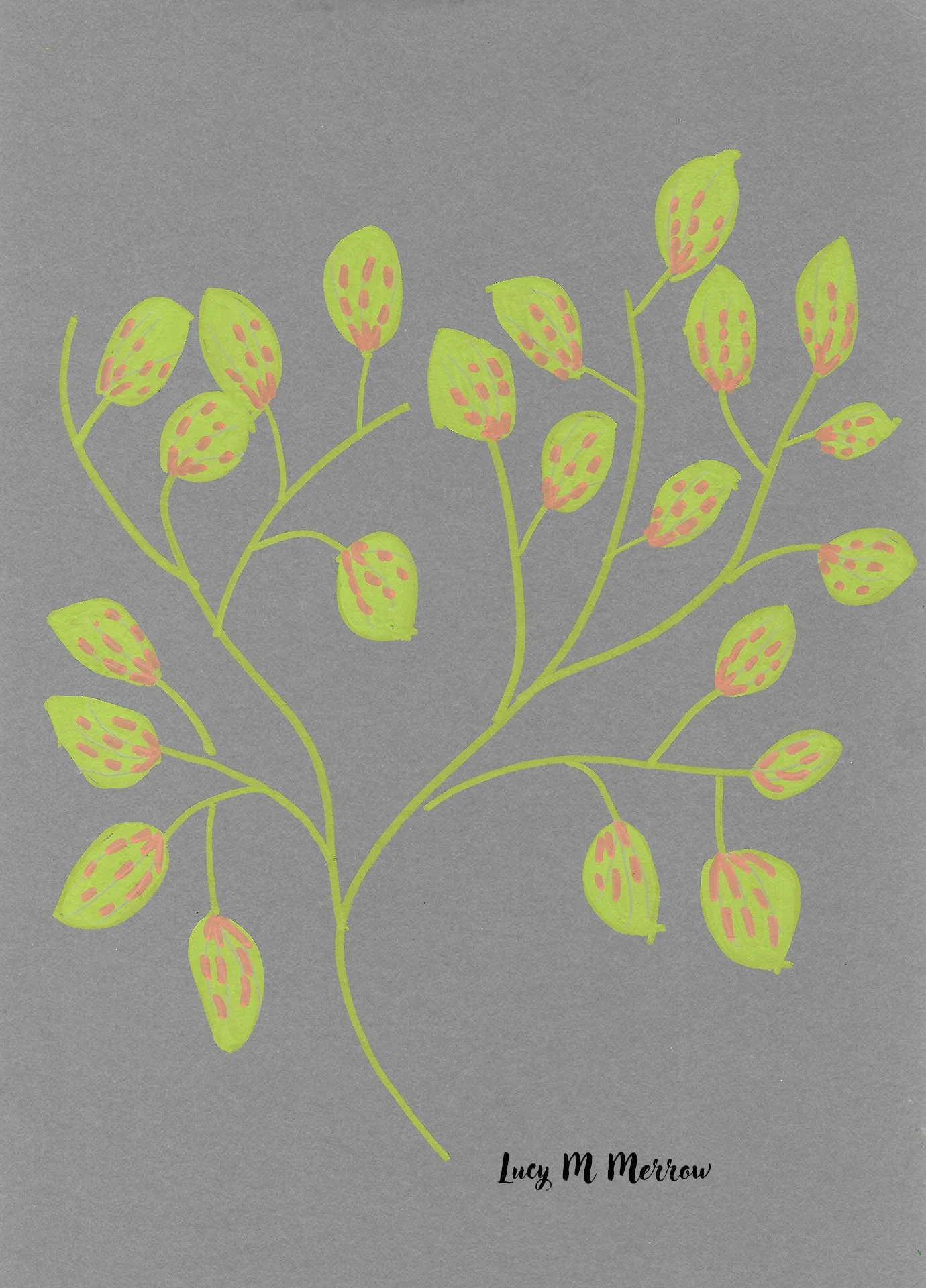 Scan 40.jpg