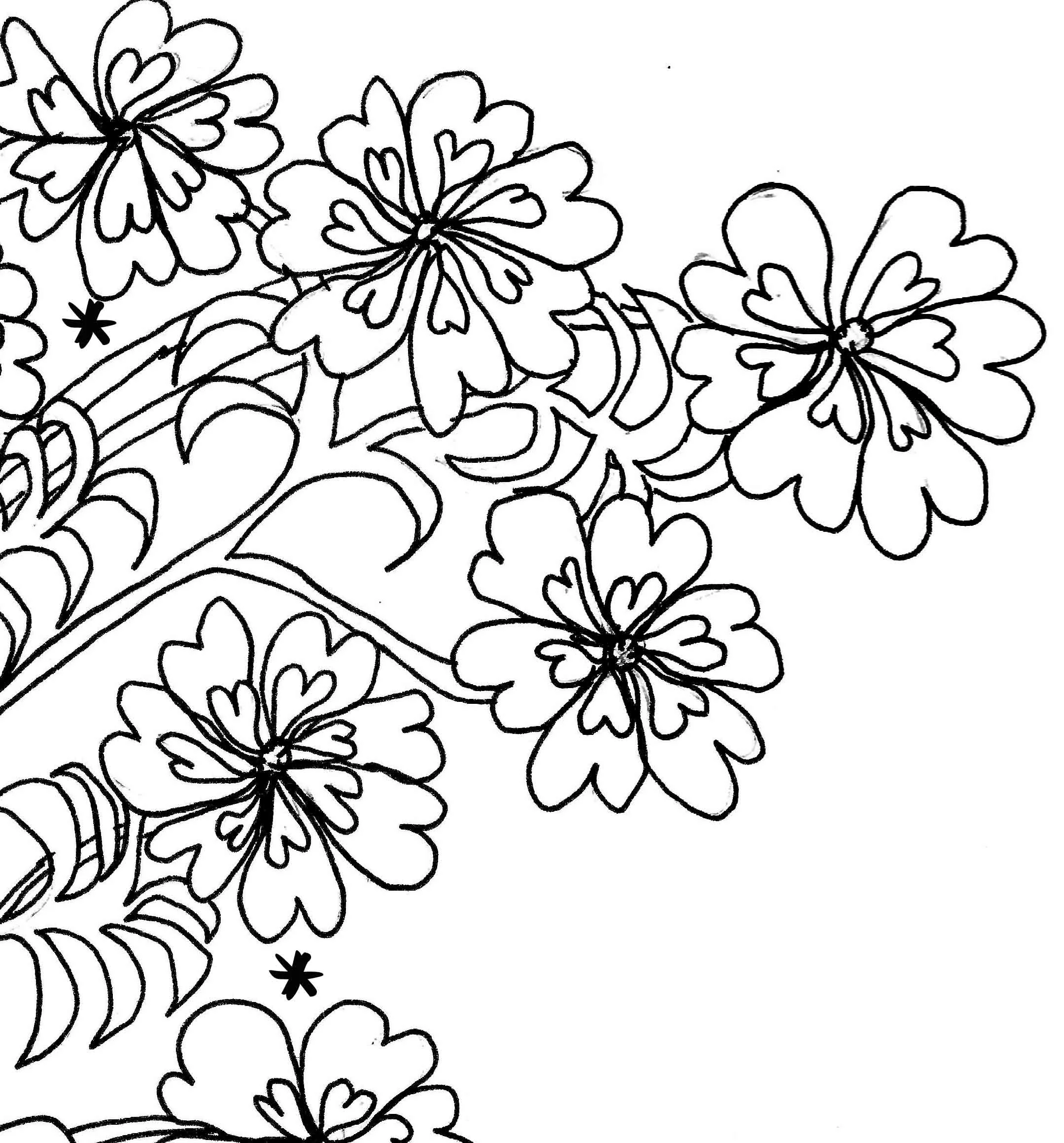 Scan 20thumbnail2.jpg