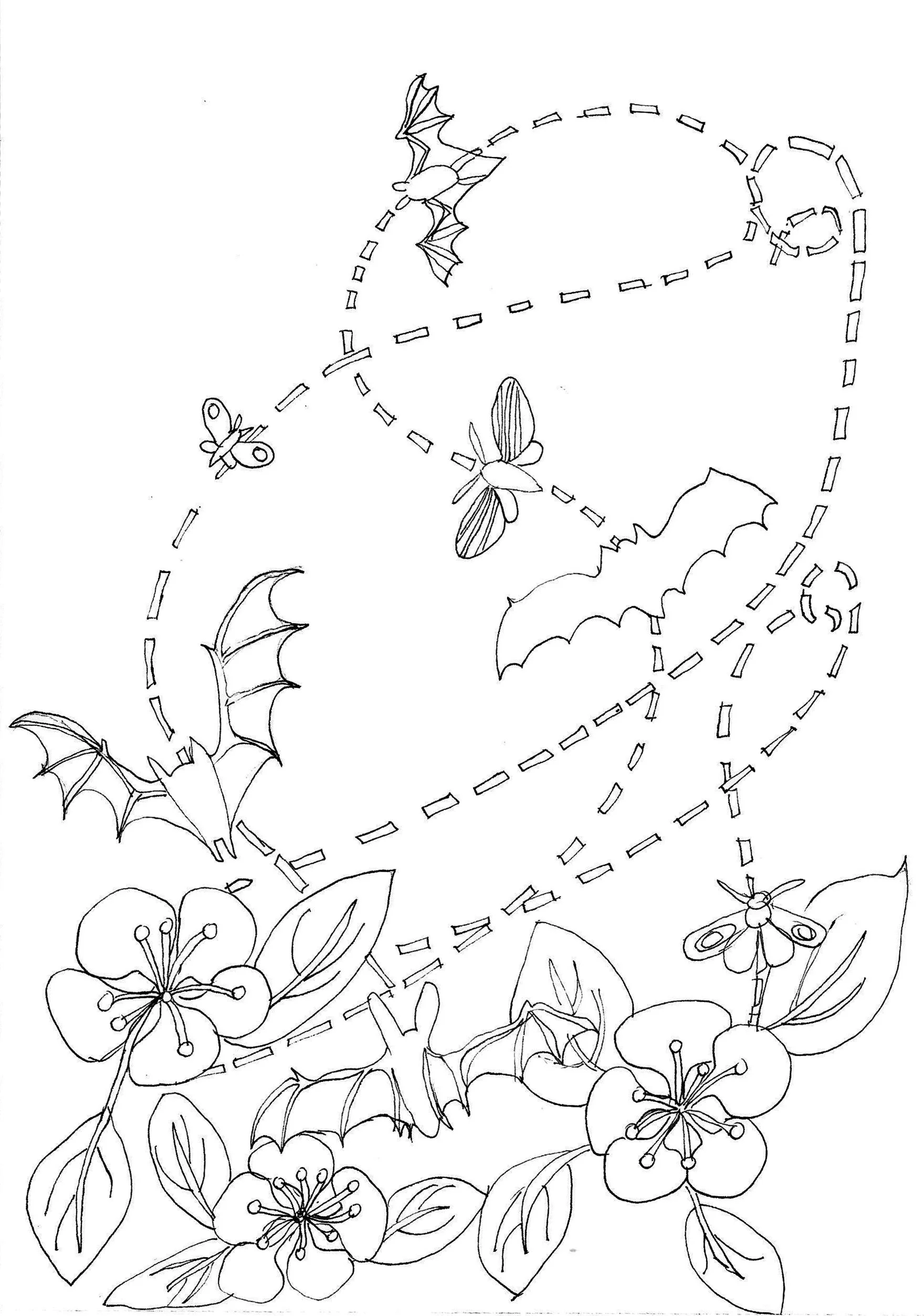 batsmothappleblossom.jpg