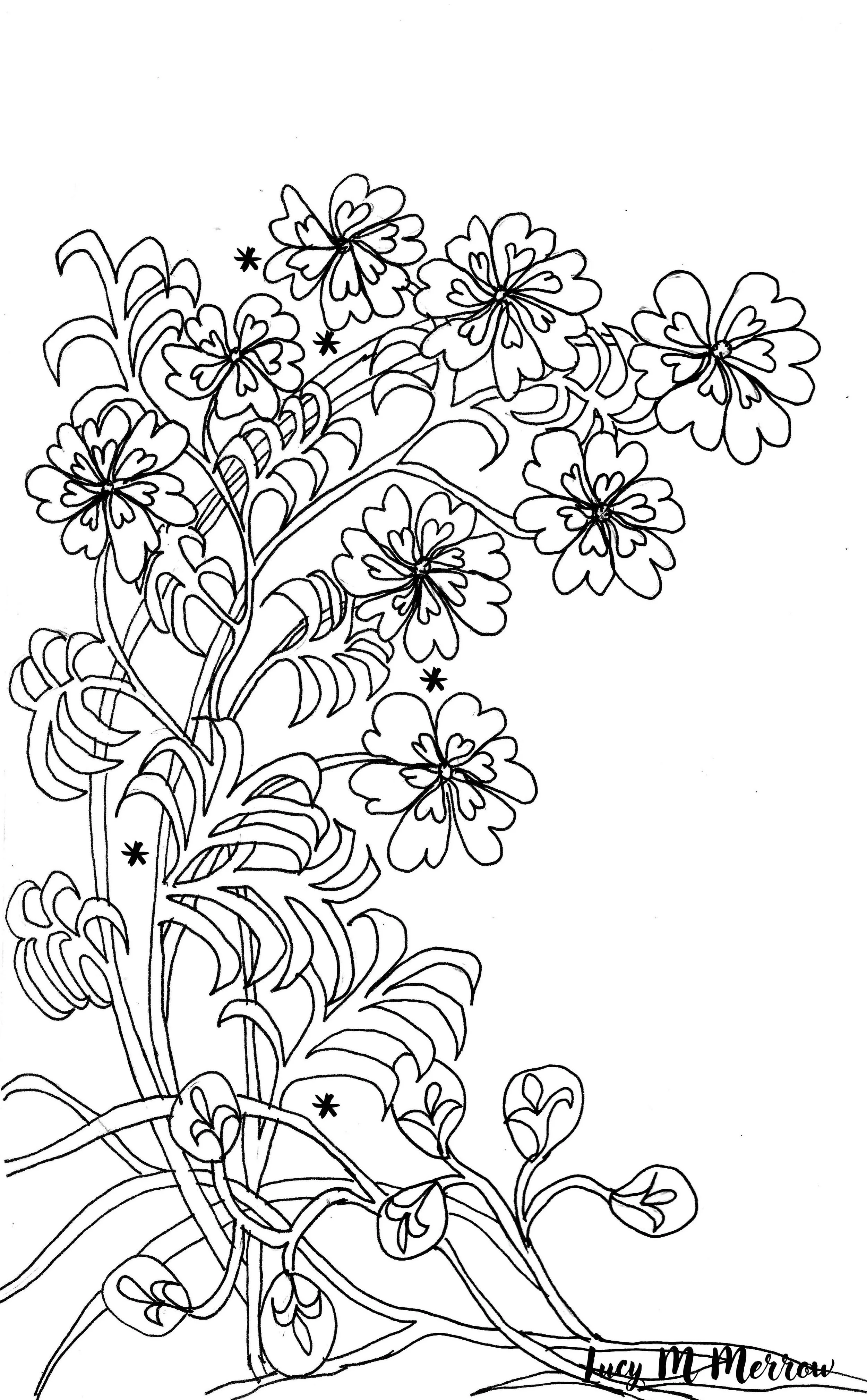 Scan 20.jpg
