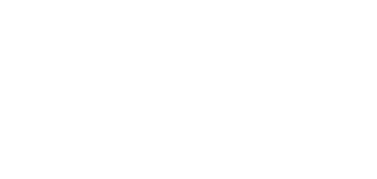 Monetize Value logo