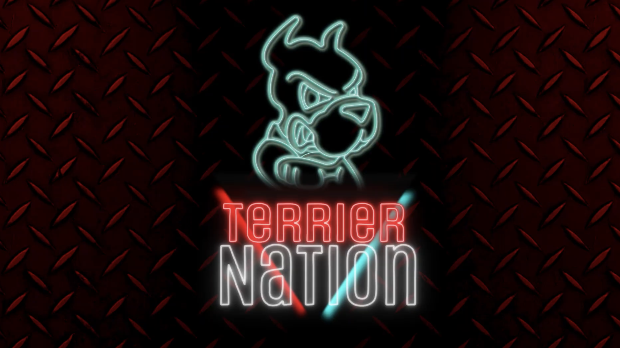 2025 BU Softball Analysis (Terrier Nation)