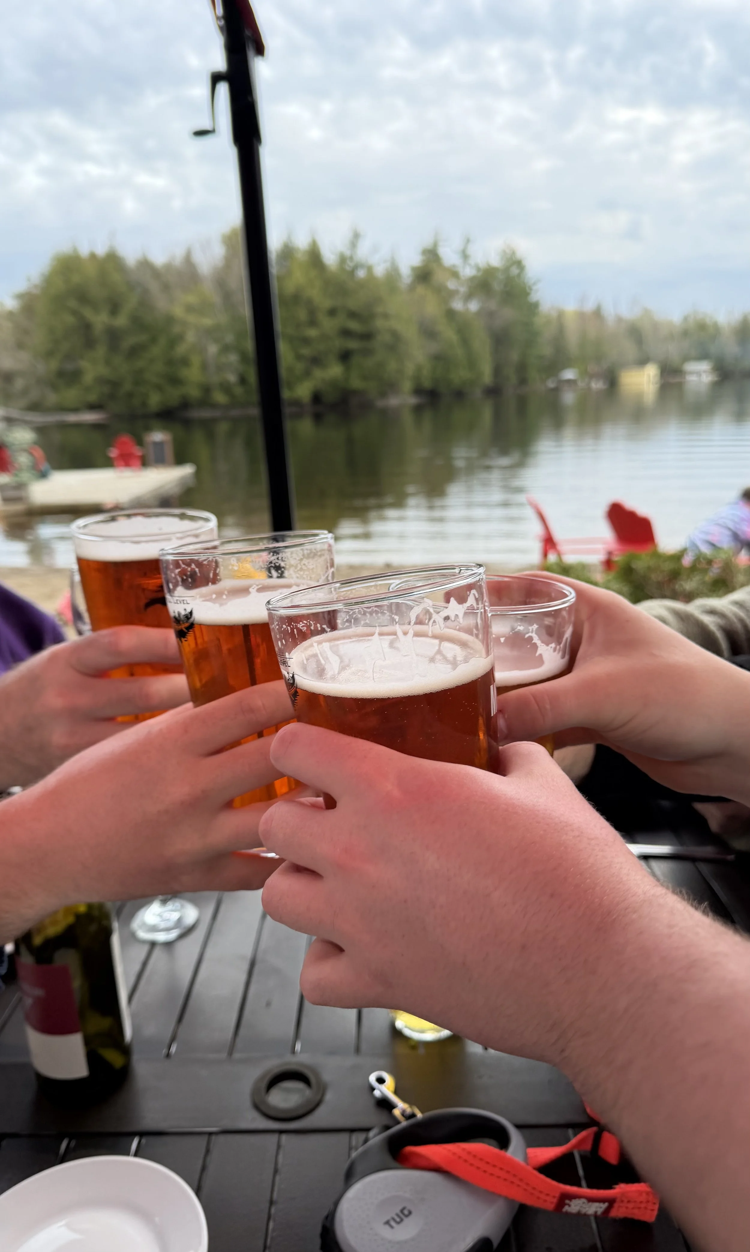 Several hands raising glasses of beer in a toast outdoors near a body of water with trees and a cloudy sky in the background.