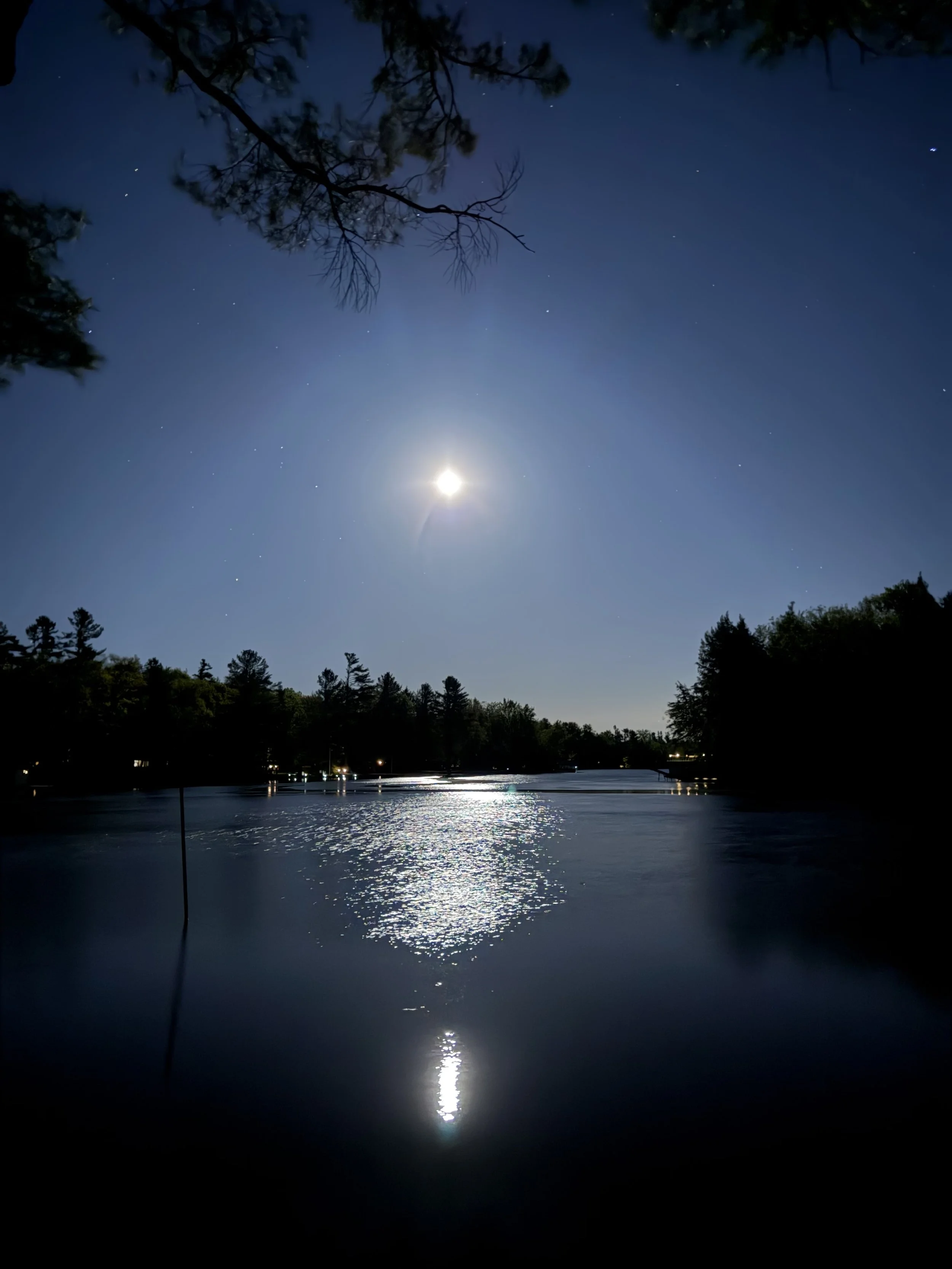 Nighttime scene with a bright moon and stars in the clear sky, reflected on a calm body of water, with silhouettes of trees along the shoreline.