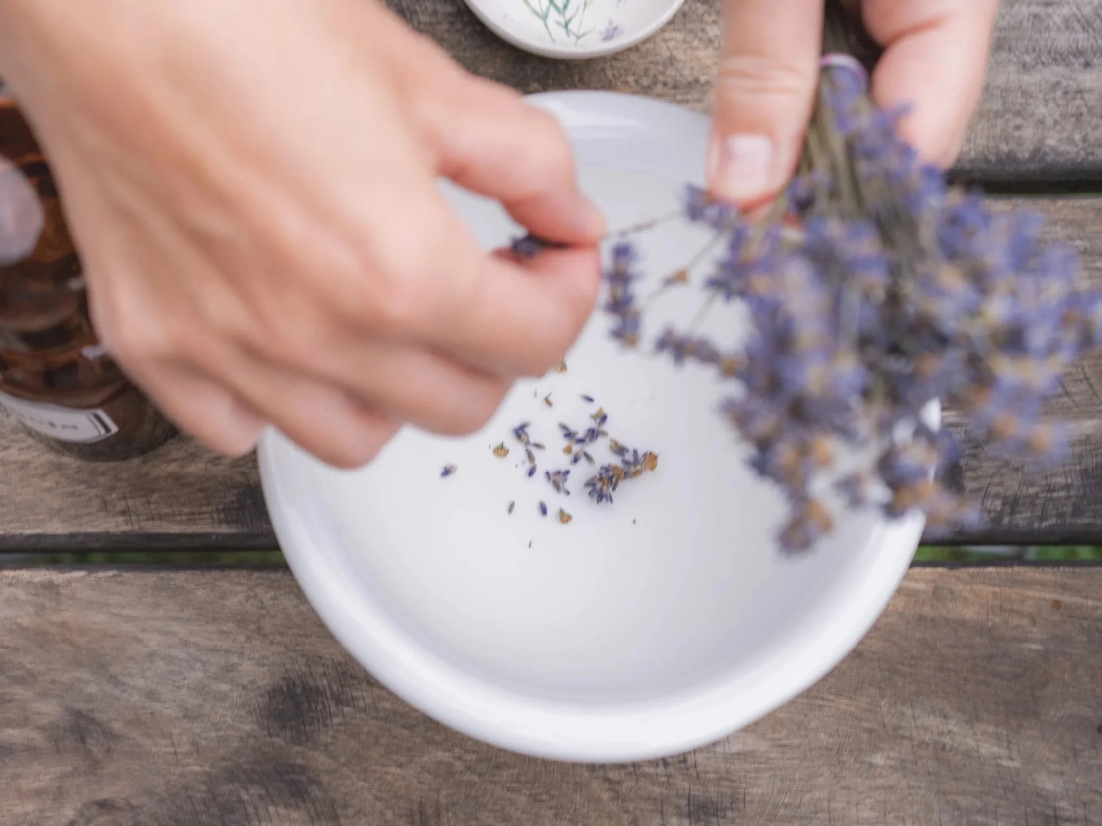 Eine Hand fügt Lavendelblüten in eine weiße Schale. Im Hintergrund ist eine kleine Tasse mit Lavendelmotiv. Der Tisch ist aus Holz.