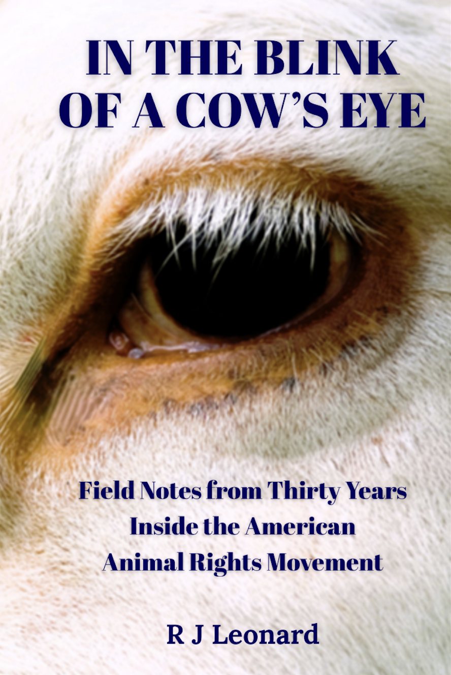 In the Blink of a Cow's Eye, book cover