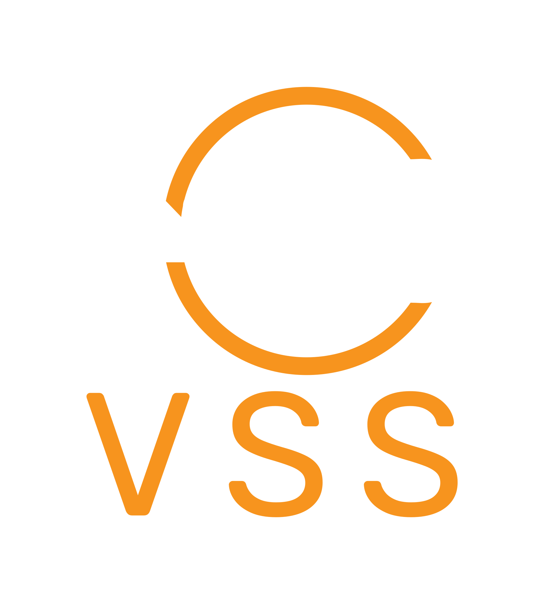 VSS Logo