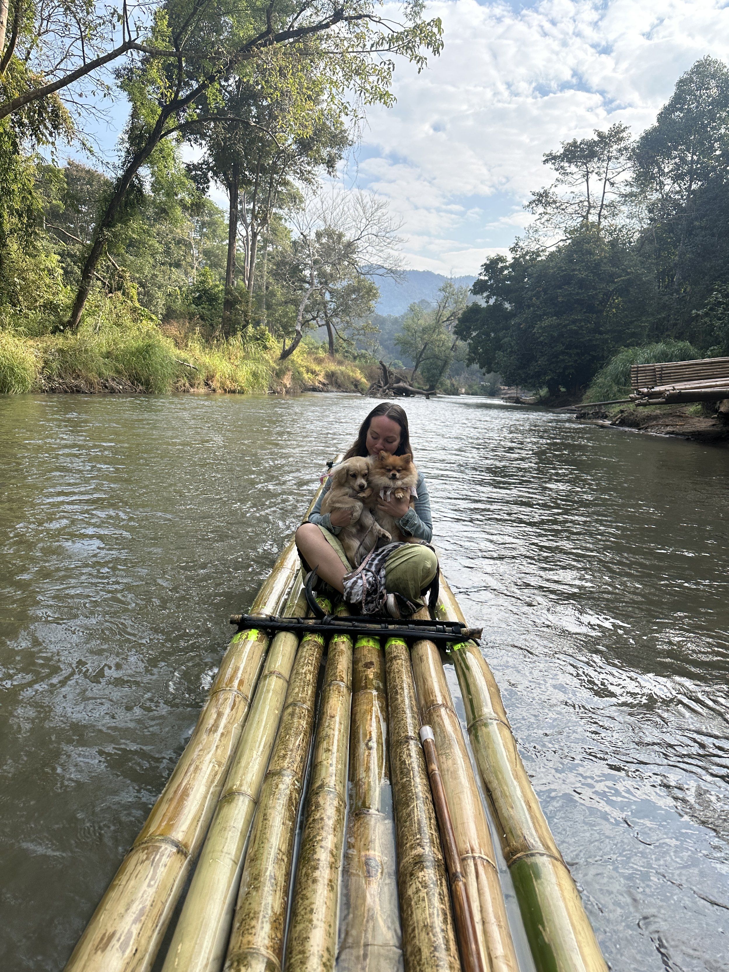 A person holding two small dogs while sitting on a bamboo raft floating on a river surrounded by trees and mountains.