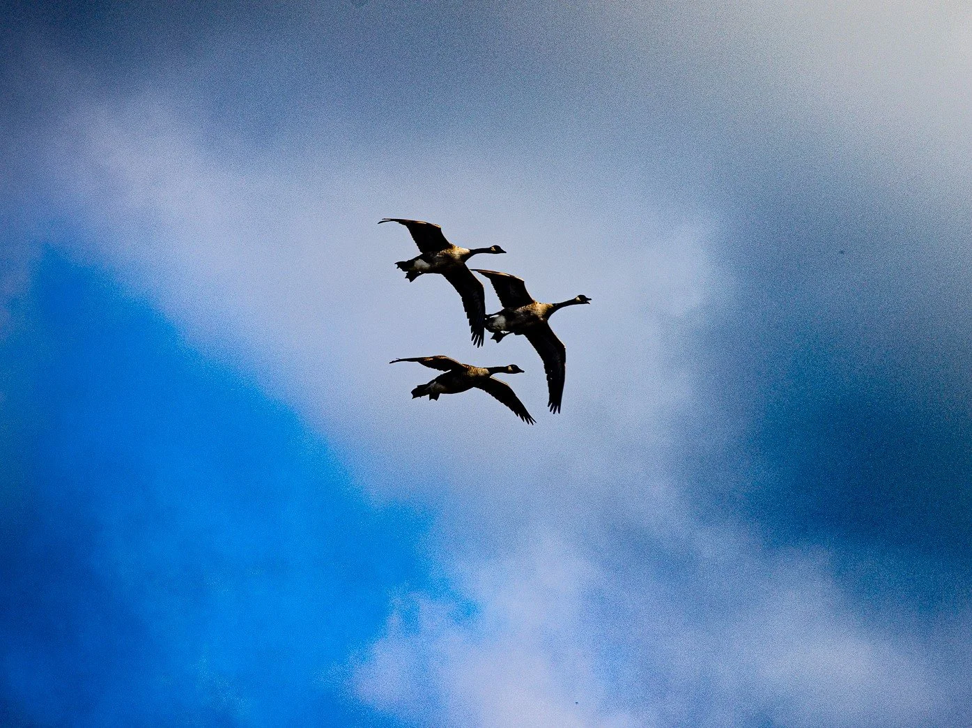 p.412 MN. Grass Lake Fly Over (1 of 1)-b.jpg