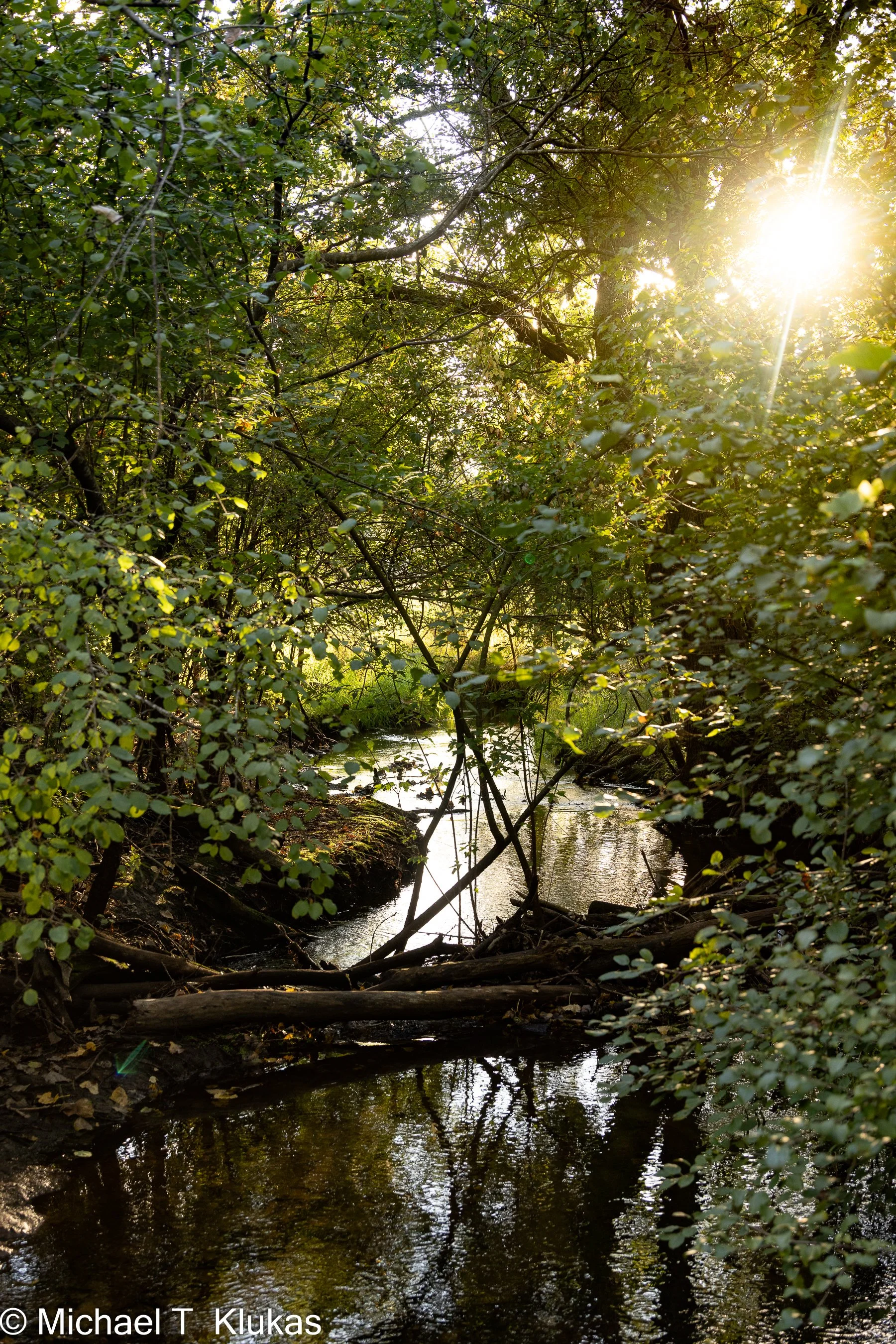 p.401 Sun Setting Stream