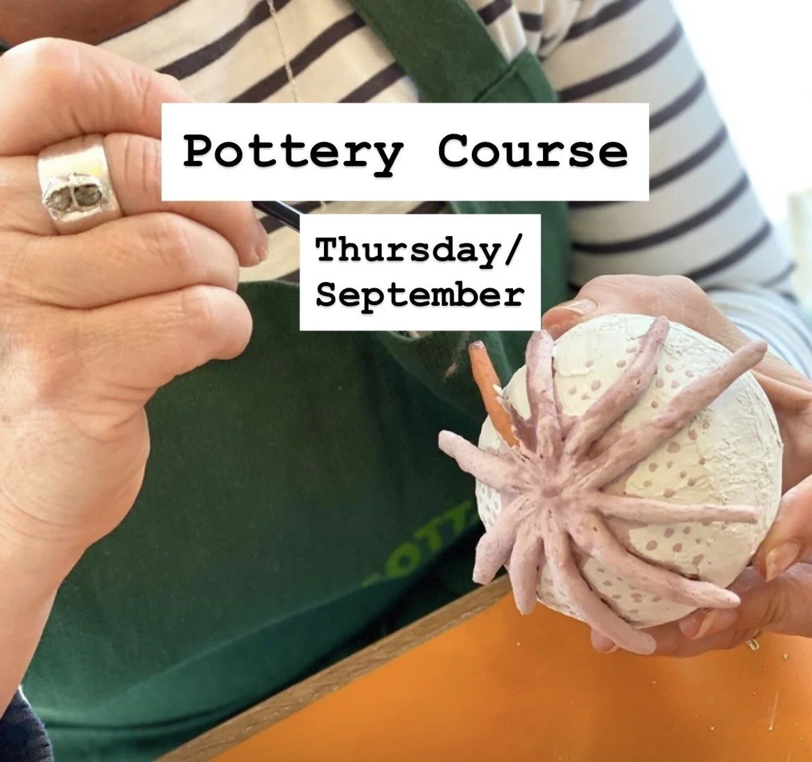 Pottery Course- Thursday -September start (Four Spaces Left)