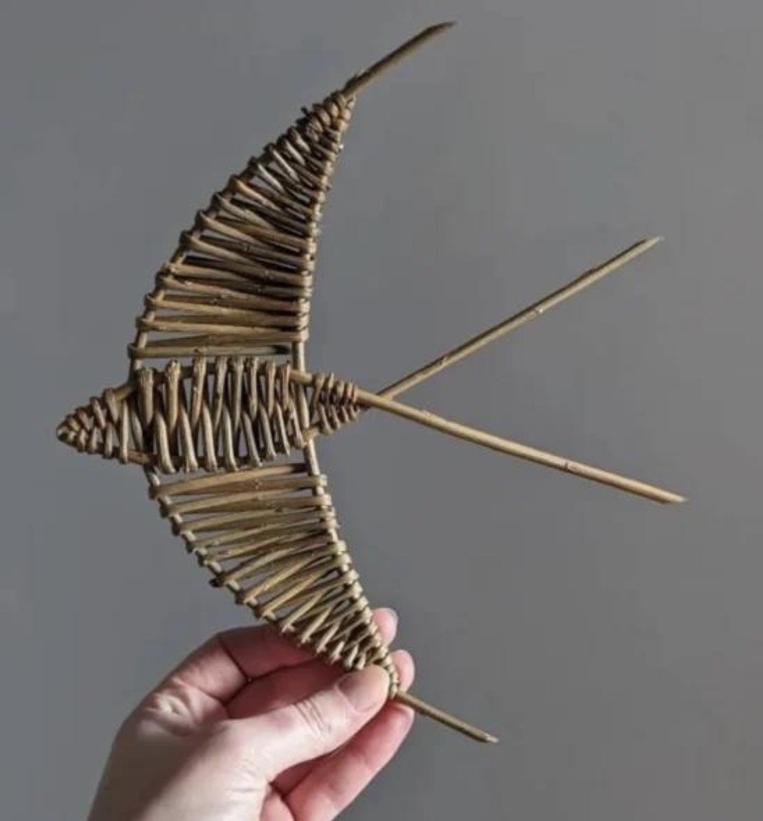 willow swallow.jfif