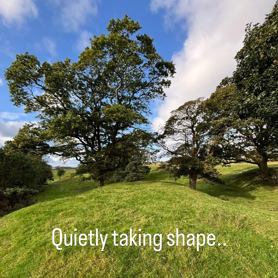 Something is taking shape in the Galloway hills.

Just two cabins.
No neighbours.

More soon.