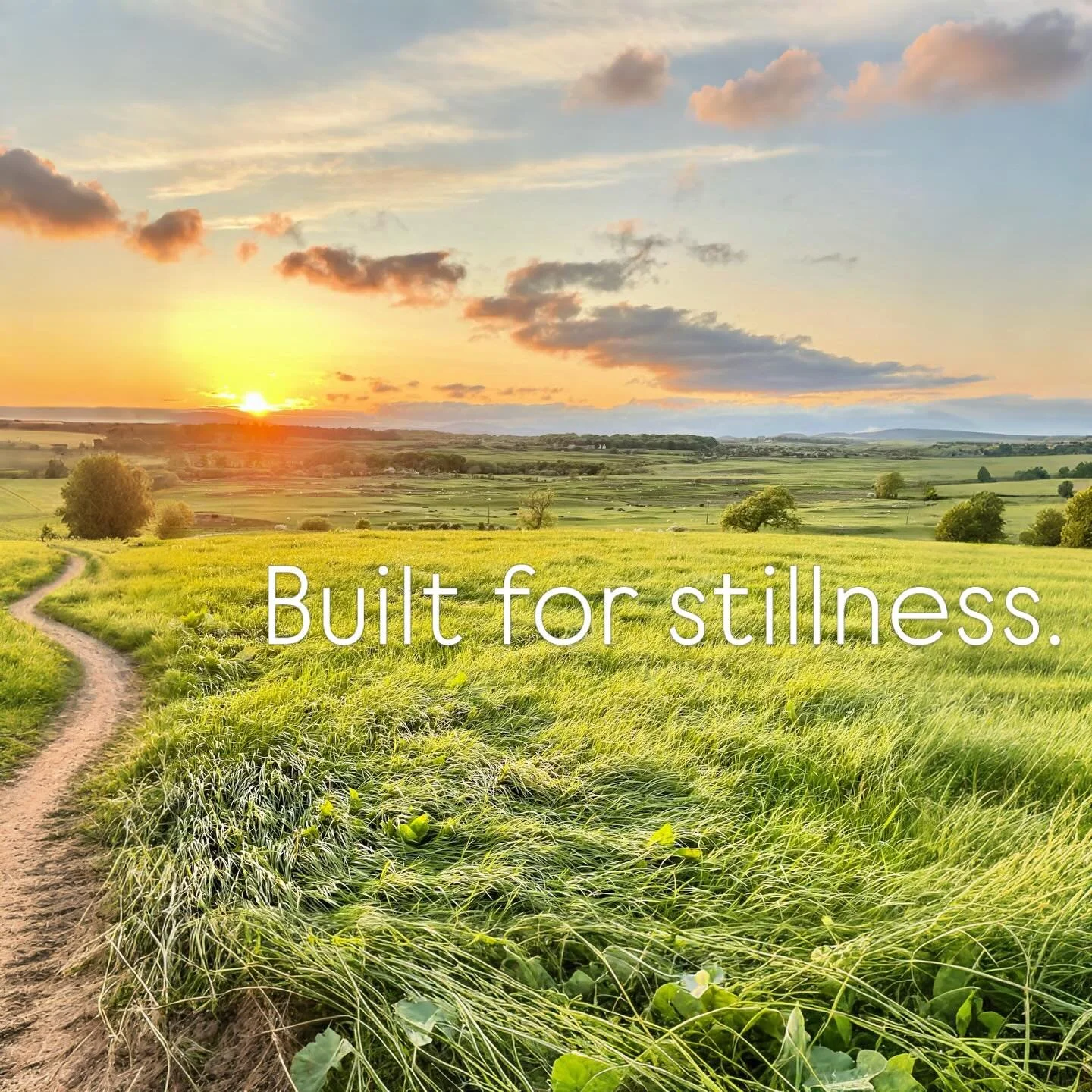 .
Not designed around buildings.
Designed around what&rsquo;s already here.

Light through the trees.
Wind across the fields.
Stillness when it settles. 

Wild Galloway is shaped by the landscape, not placed on top of it.

Follow along as it takes sh