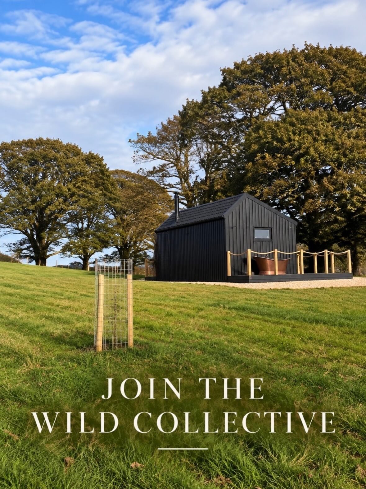 Our cabins. Your story.

Now that our cabins are nearly ready, we&rsquo;re inviting a small handful of visual storytellers to come and stay with us at Wild Galloway this autumn and winter.

We&rsquo;re looking for people who can capture something rea
