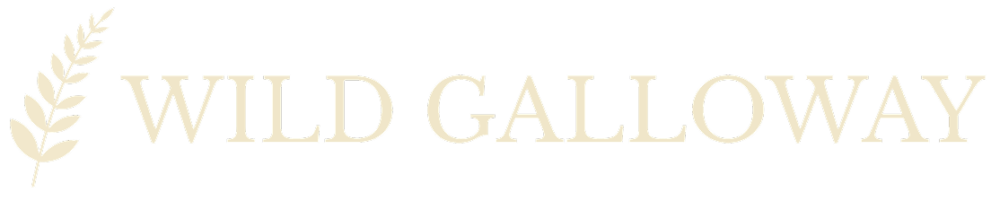 Wild Galloway
