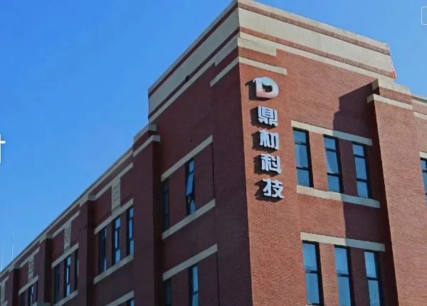 Dingcai Technology | Fine Chemical New Materials SAP S/4HANA Cloud Success Story