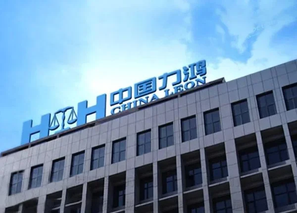 Huaxia Lihong | Professional Services SAP Success Story Professional Services