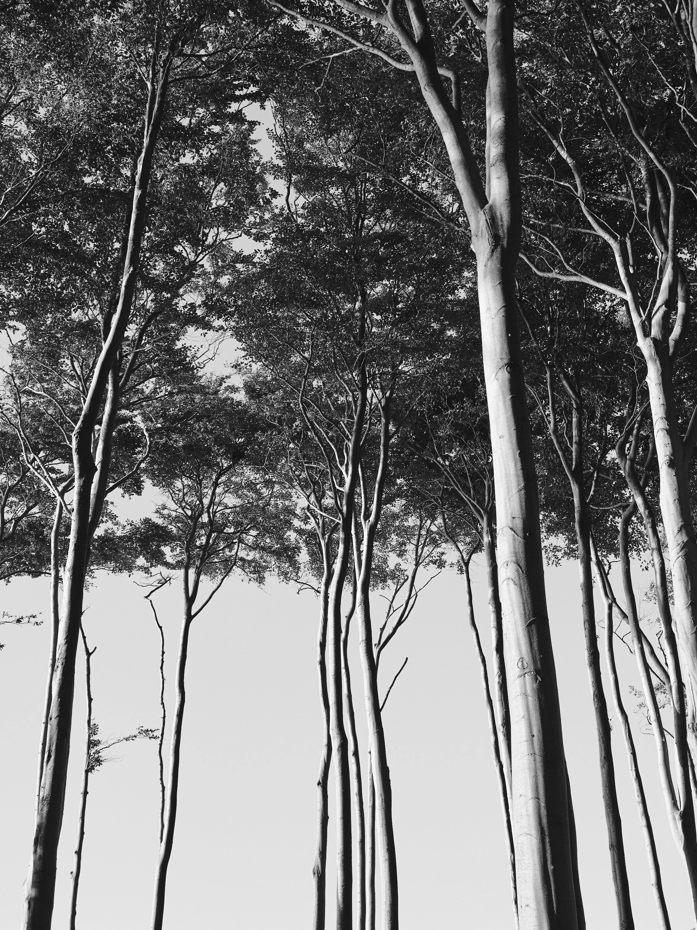 Andreas-Schier-Photography-Reportage-Ostsee_0041.jpg