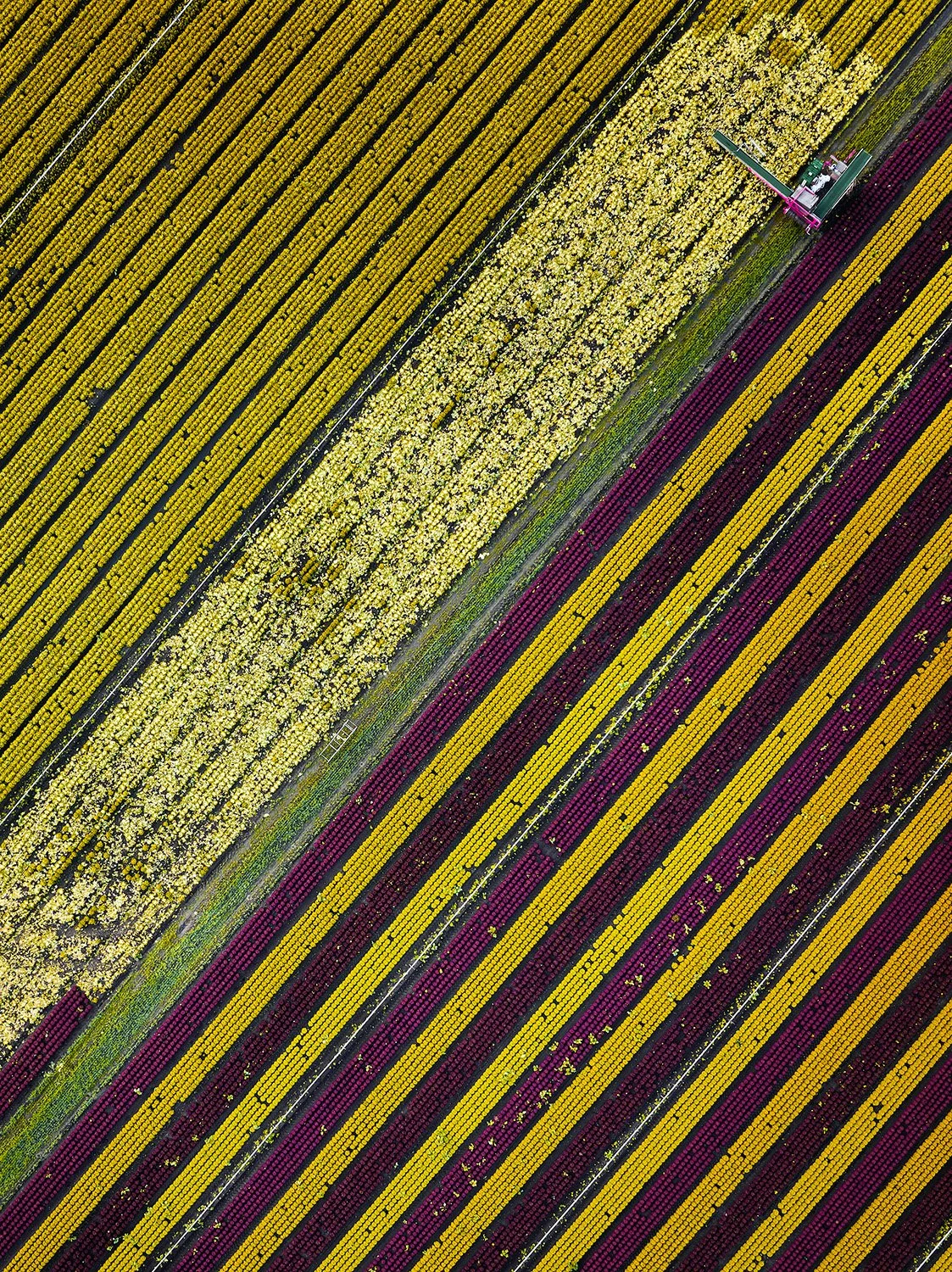 Andreas-Schier-Photography-Drone-Lines_02.jpg