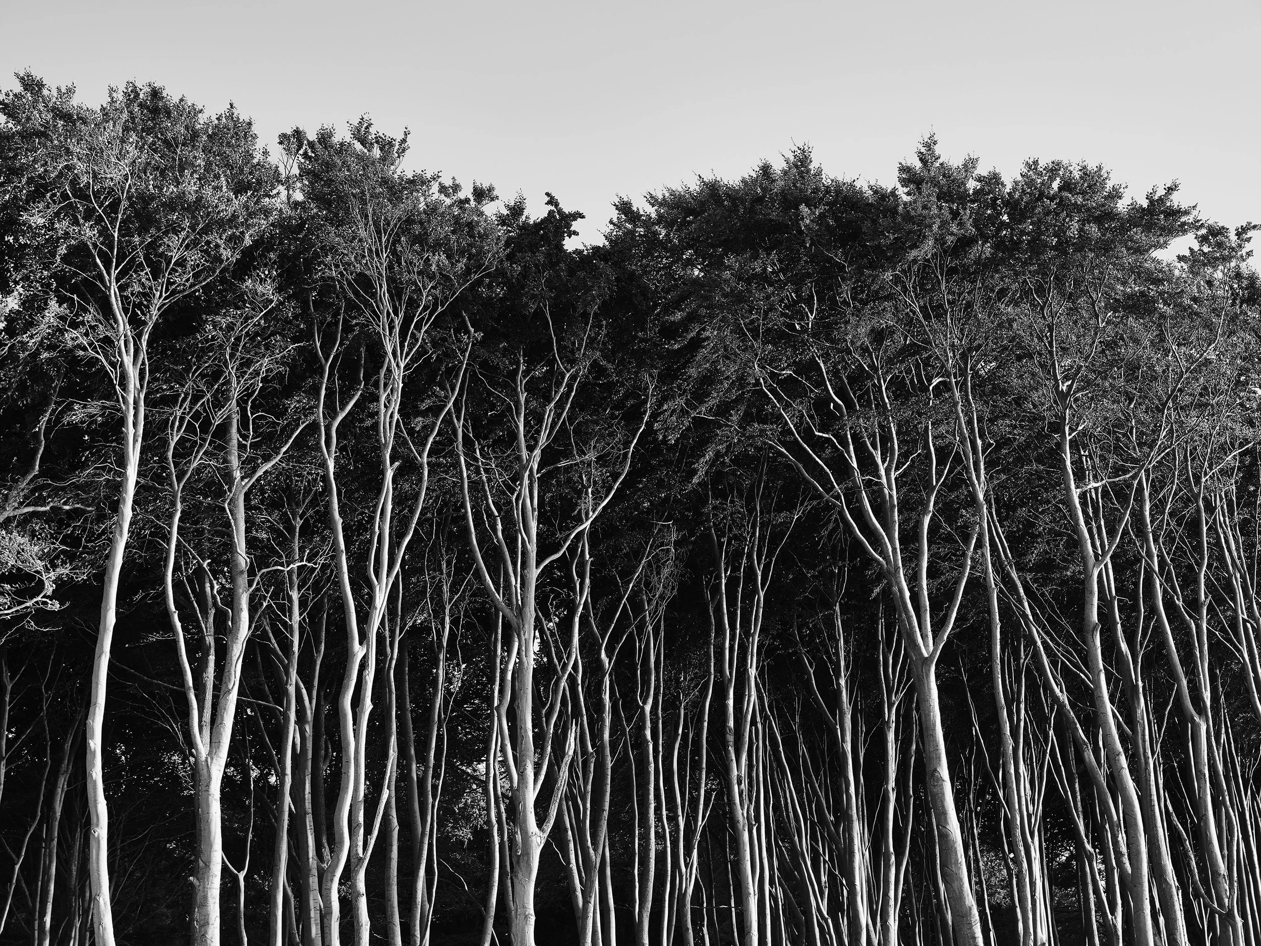 Andreas-Schier-Photography-Reportage-Ostsee_0077.jpg