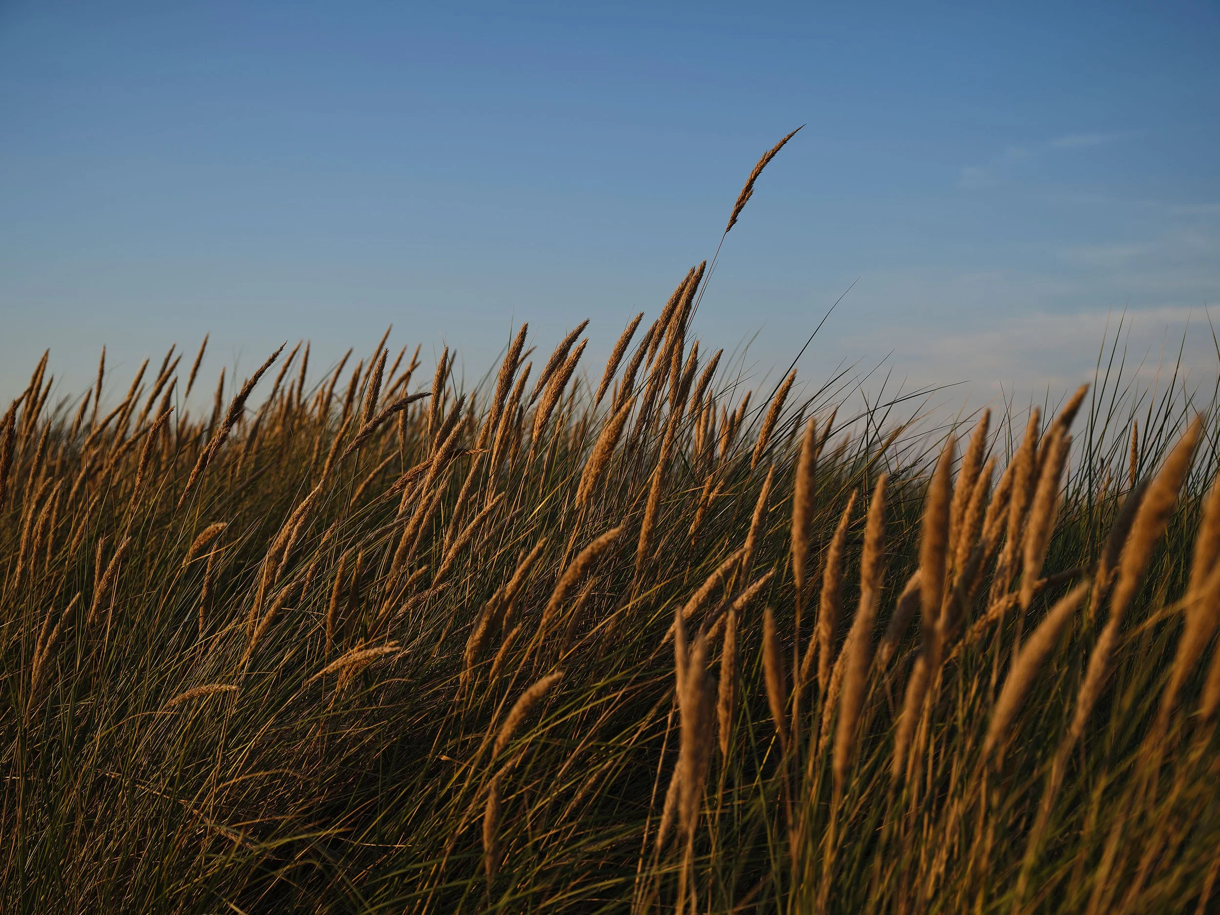 Andreas-Schier-Photography-Reportage-Ostsee_0136.jpg