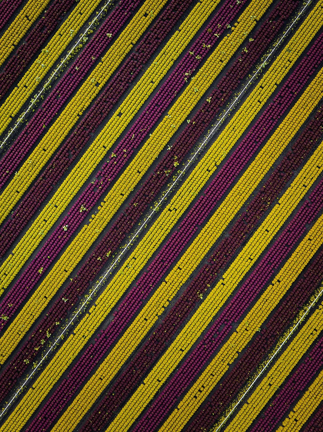Andreas-Schier-Photography-Drone-Lines_01.jpg