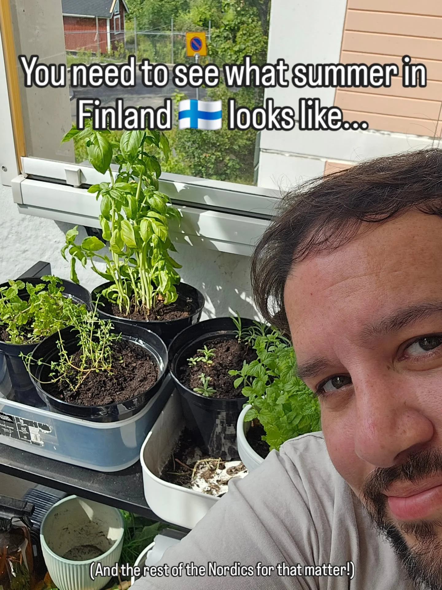 👋 Have YOU ever wondered what summer ☀️ in the Nordics looks like? Let me give you a little idea! ✨️

Comment FINLAND for your free mini PDF guide to Finland!

Do you do similar things during your summer? What activities above would you like to try?