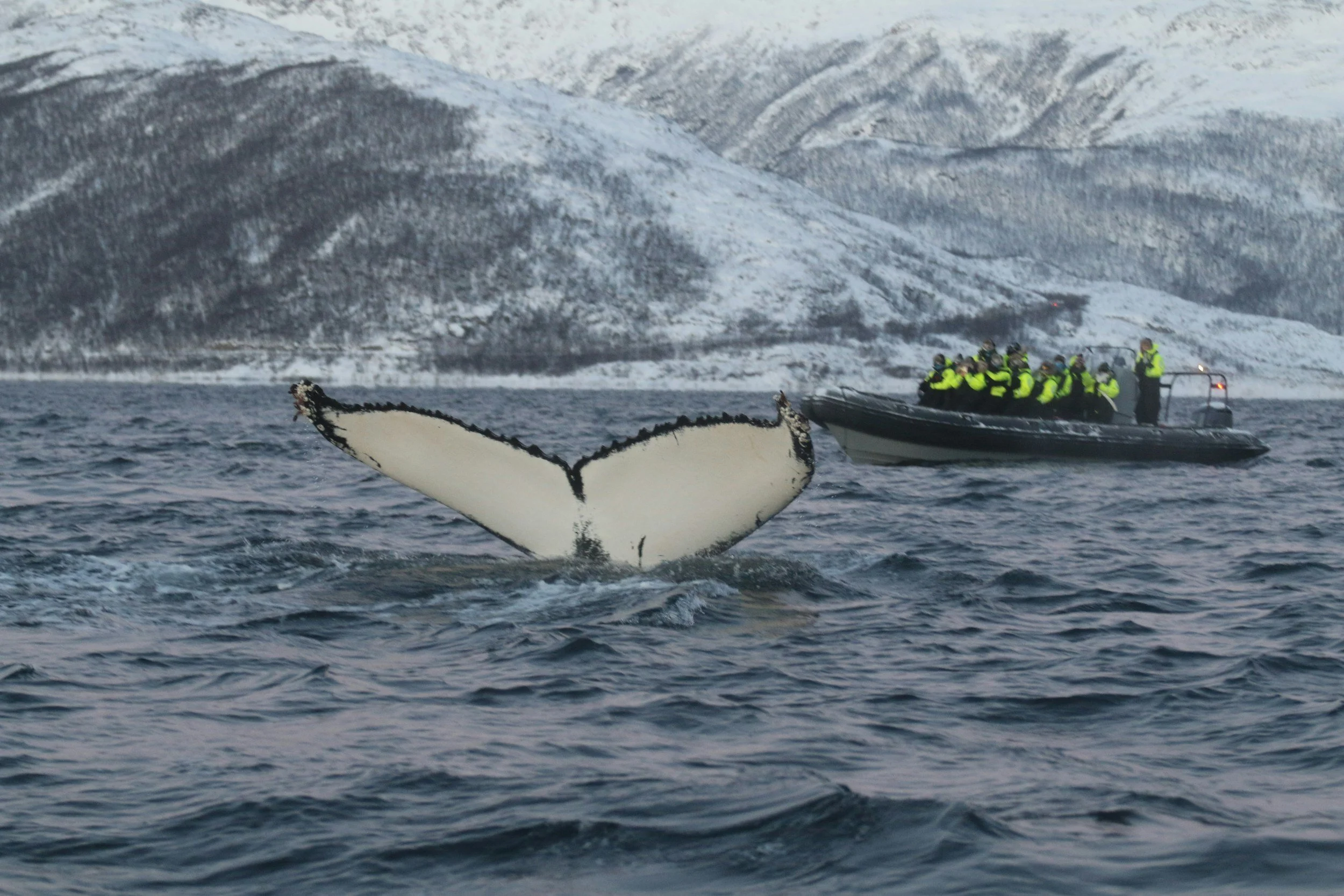 12 Nordic Travel Experiences to Add to Your Bucket List