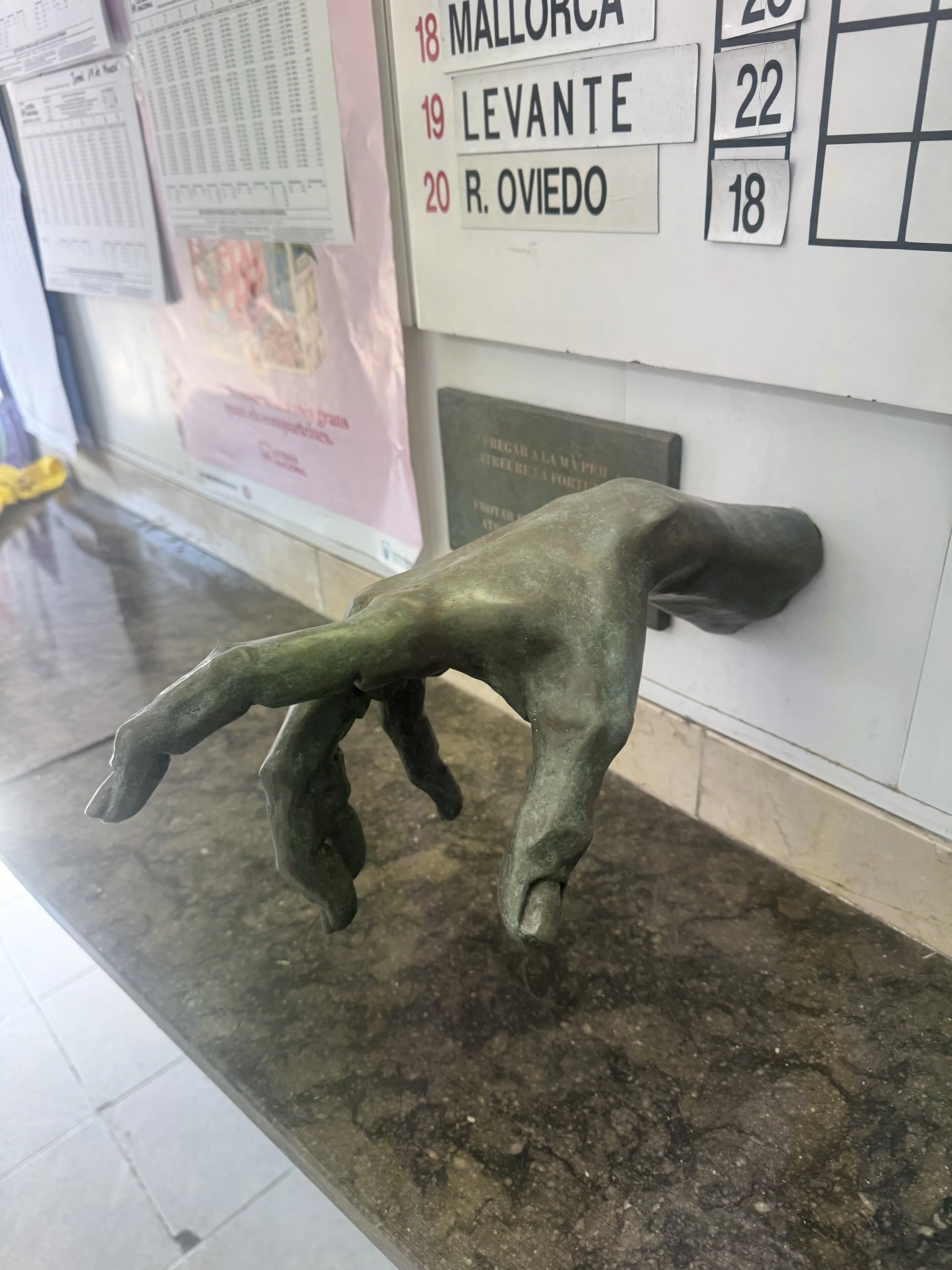 IMG_1869.jpeg