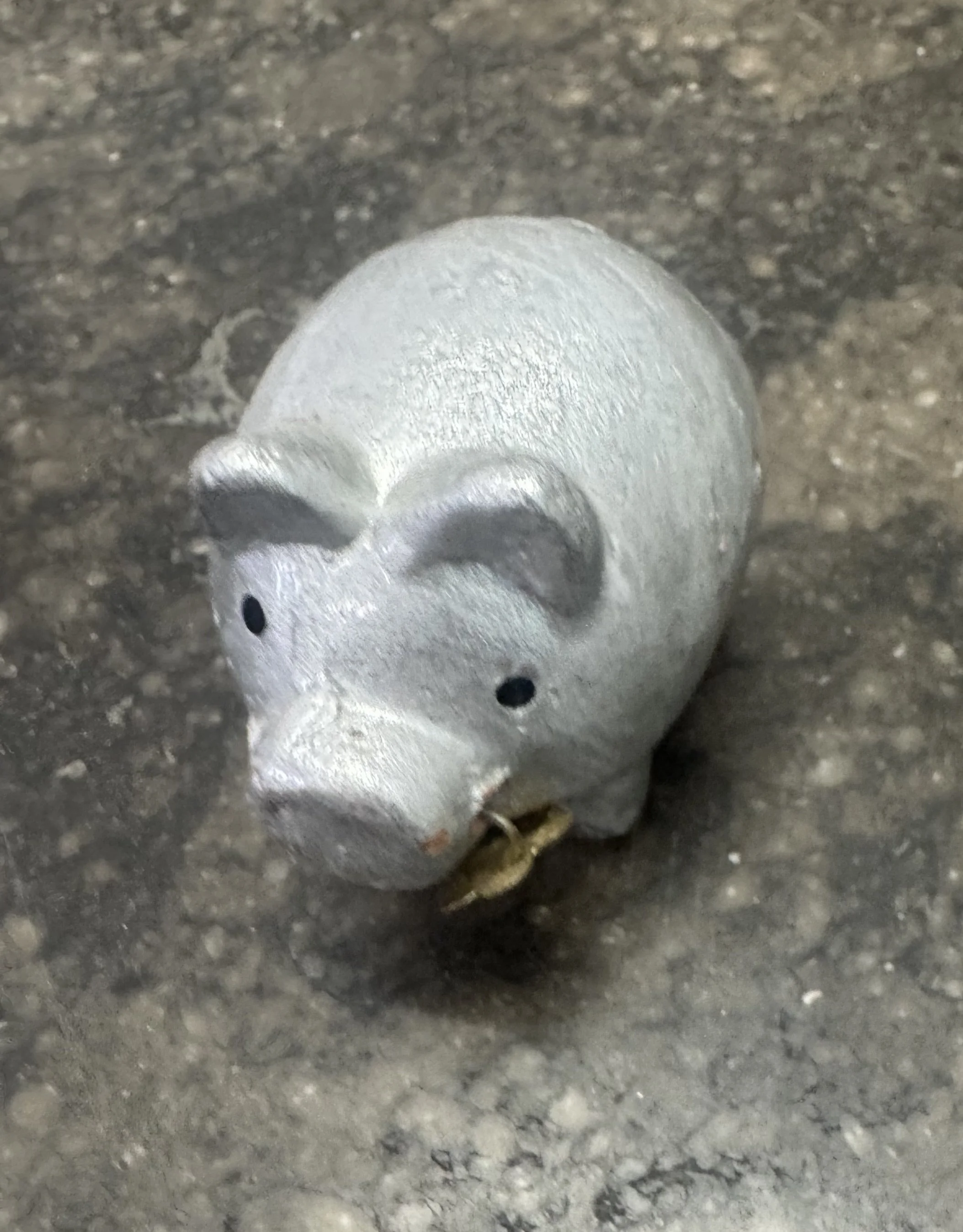 CERDITO DE LA FORTUNA (BY MY SISTER)