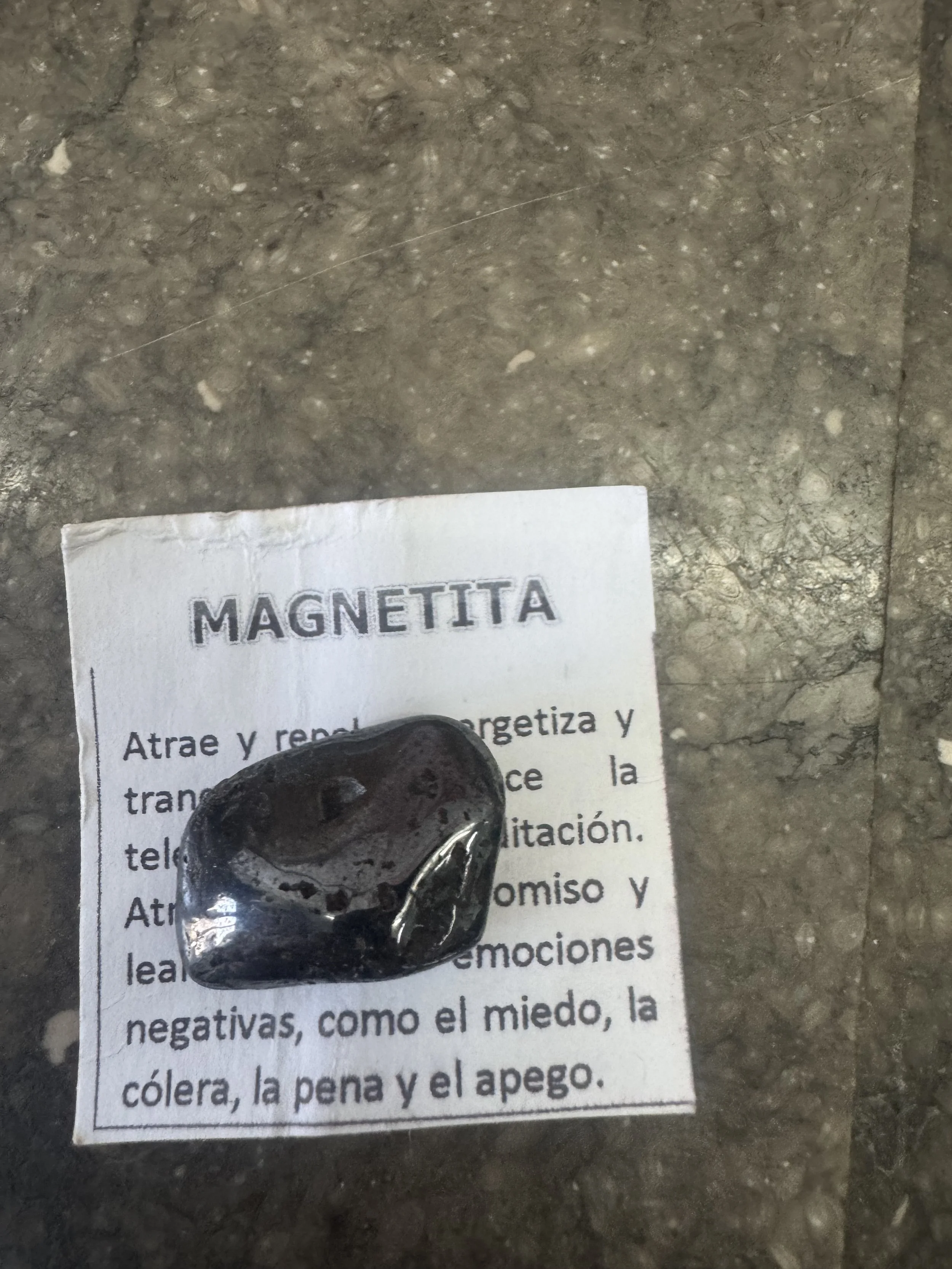 IMG_1808.jpeg