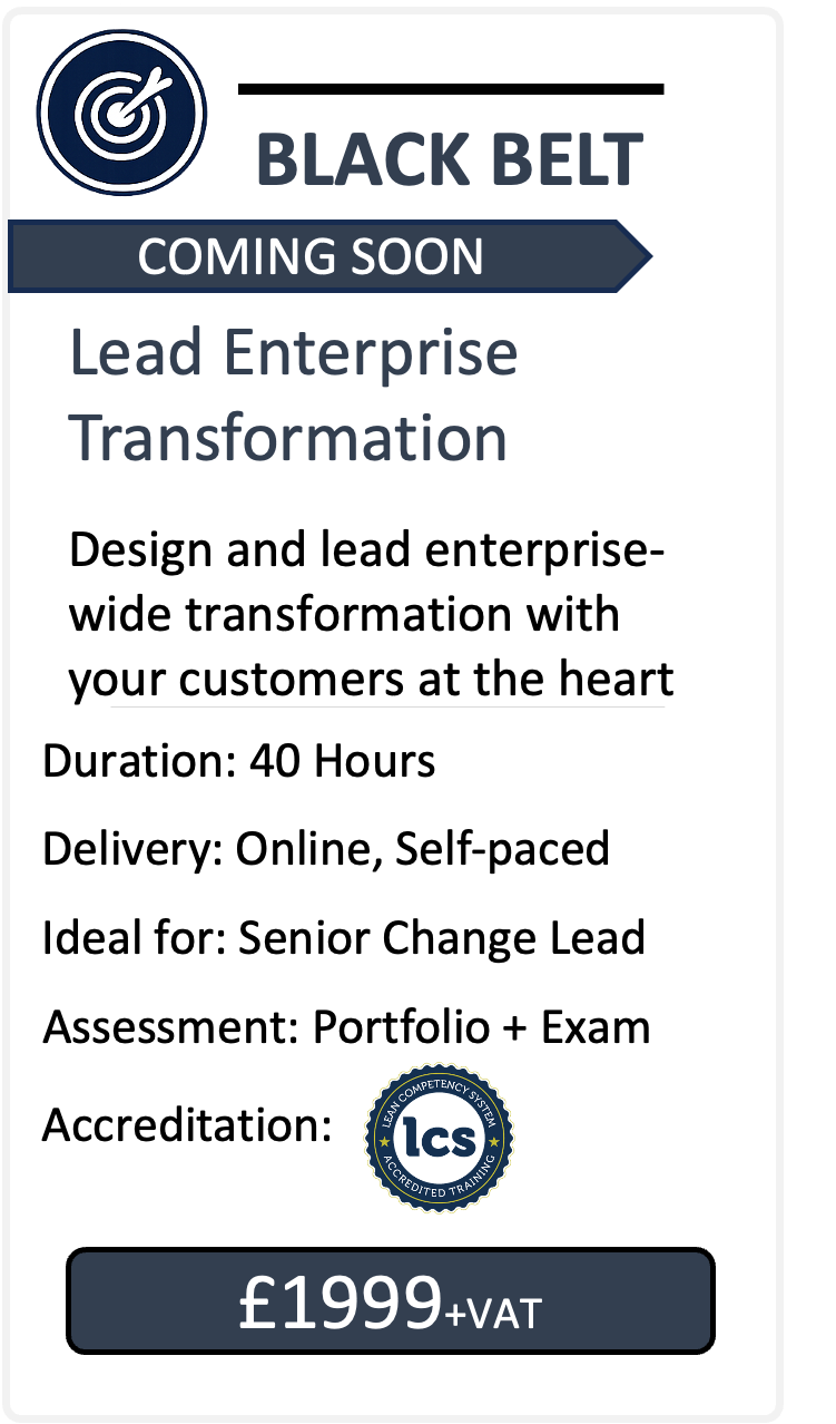 Lead Enterprise Transformation Course