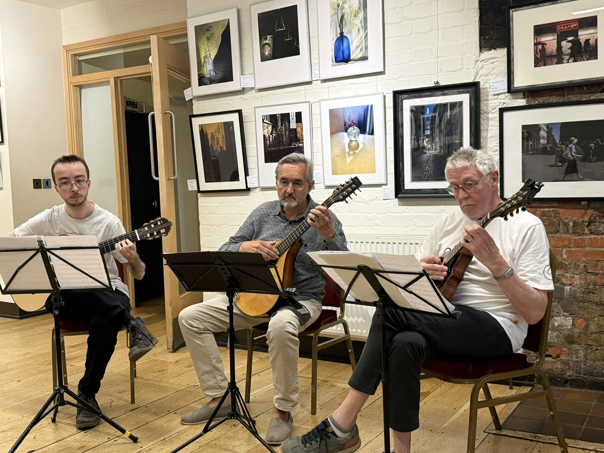 Mandolin & Guitar Trio