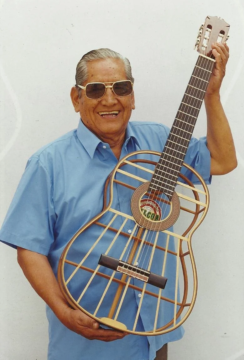 Falcon Guitar Structure.jpg