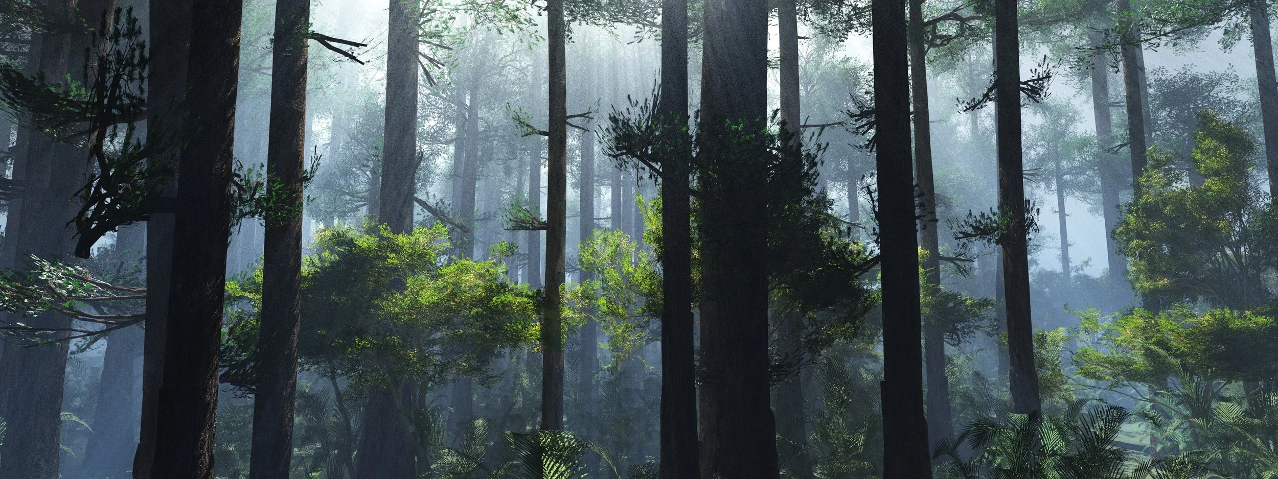 A dense forest with tall trees and green foliage, light filtering through the canopy, creating a misty atmosphere.