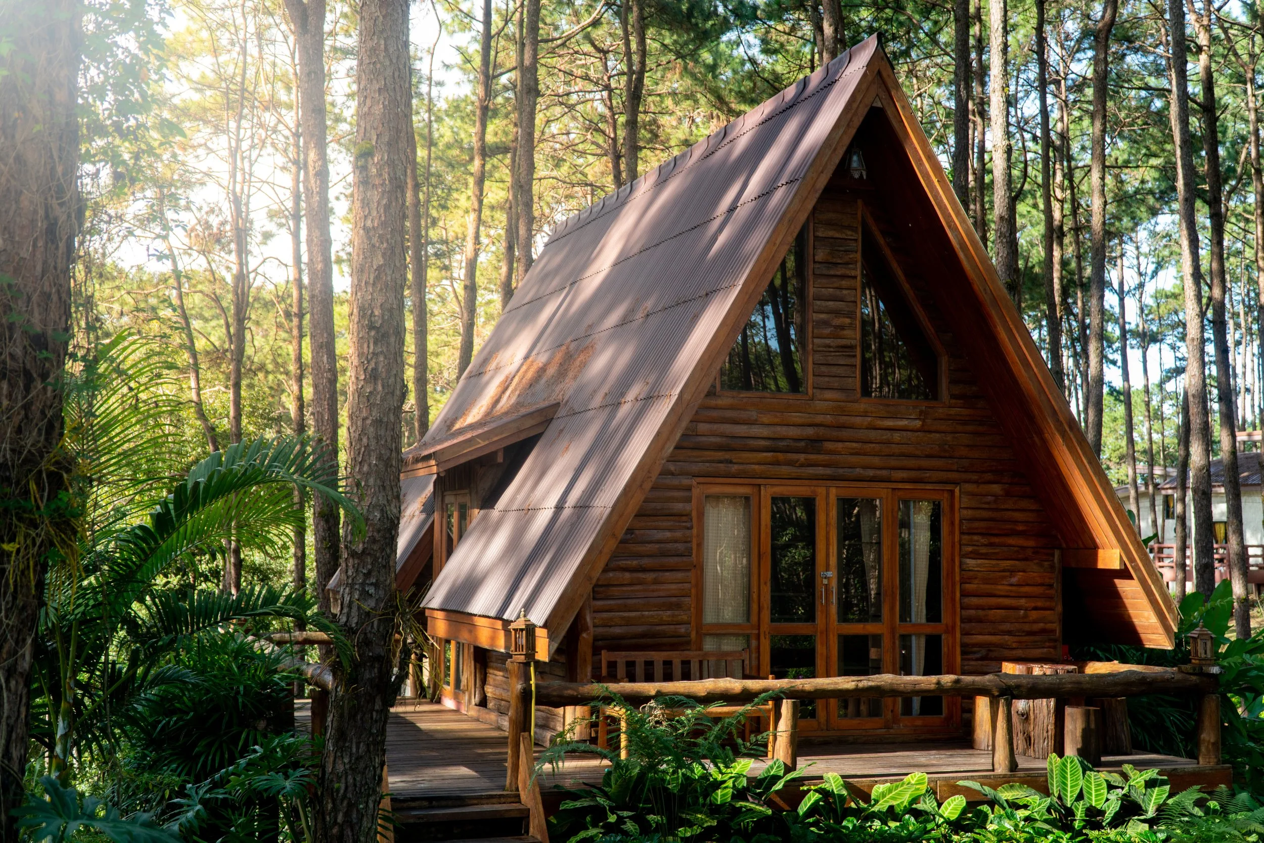 Cabin in the woods.jpeg