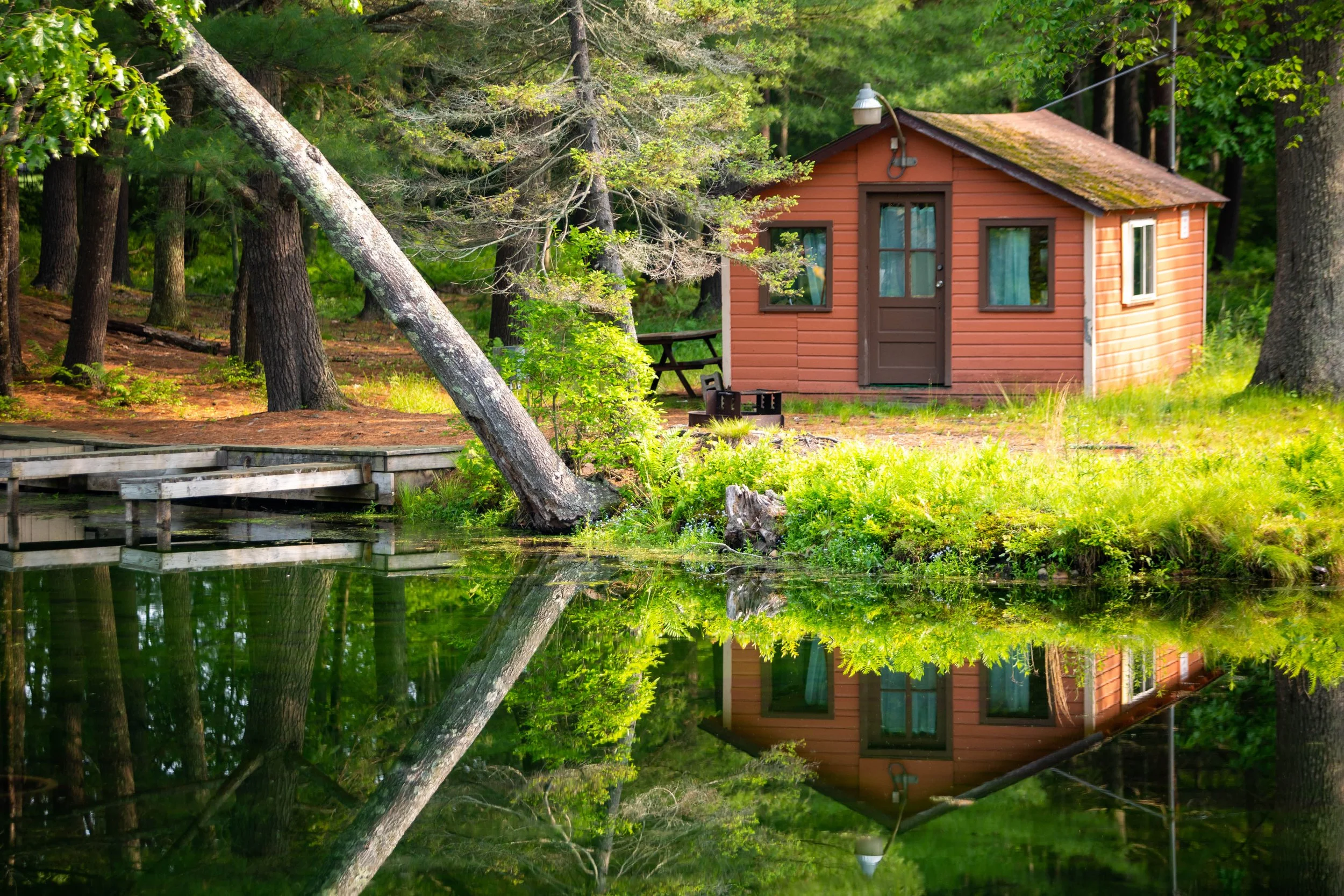 Cabin Lake 2.jpeg