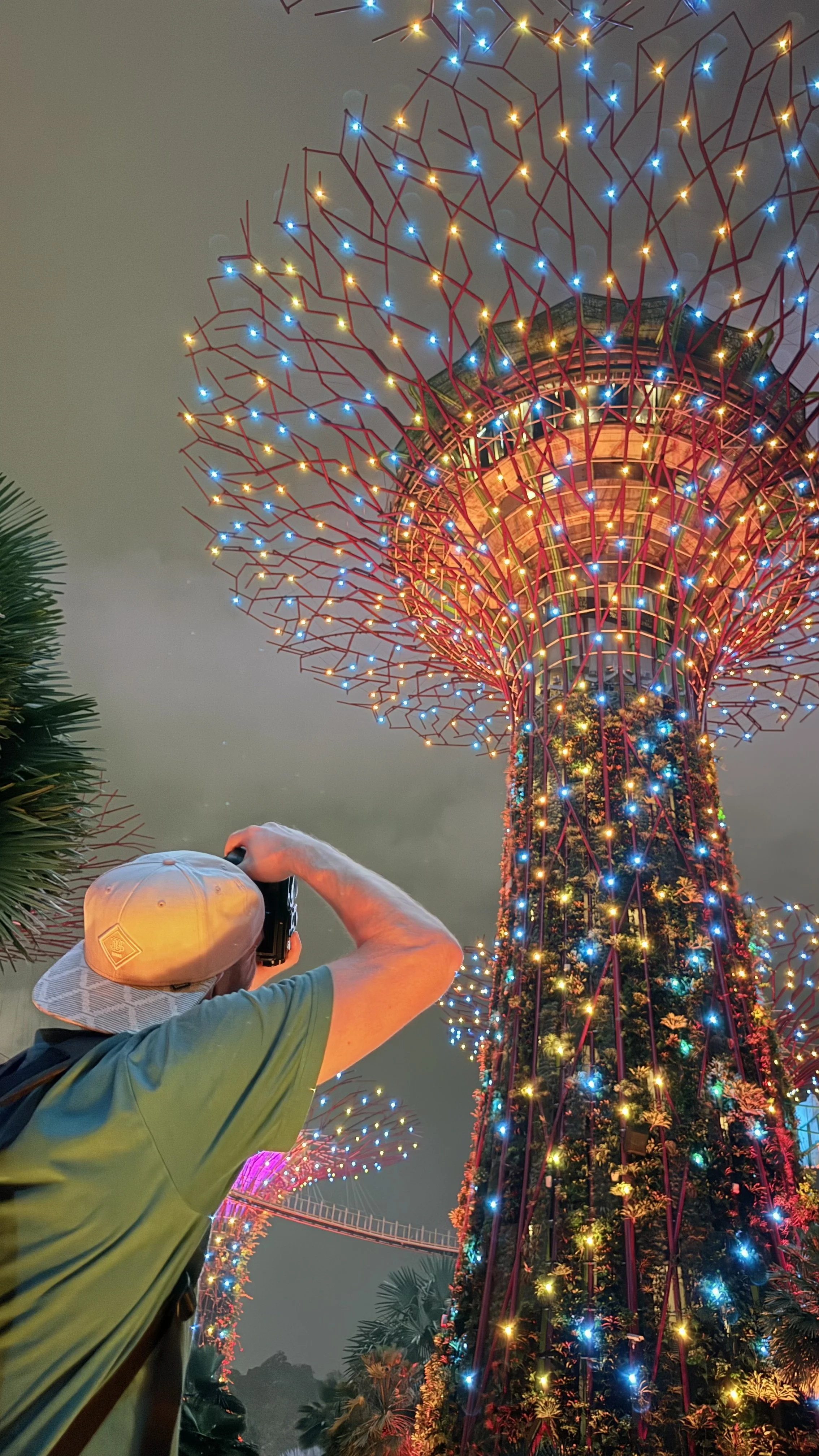 Erik van der Ven with a beige cap taking a photo of a large illuminated tree with colorful lights at night in Singapore.