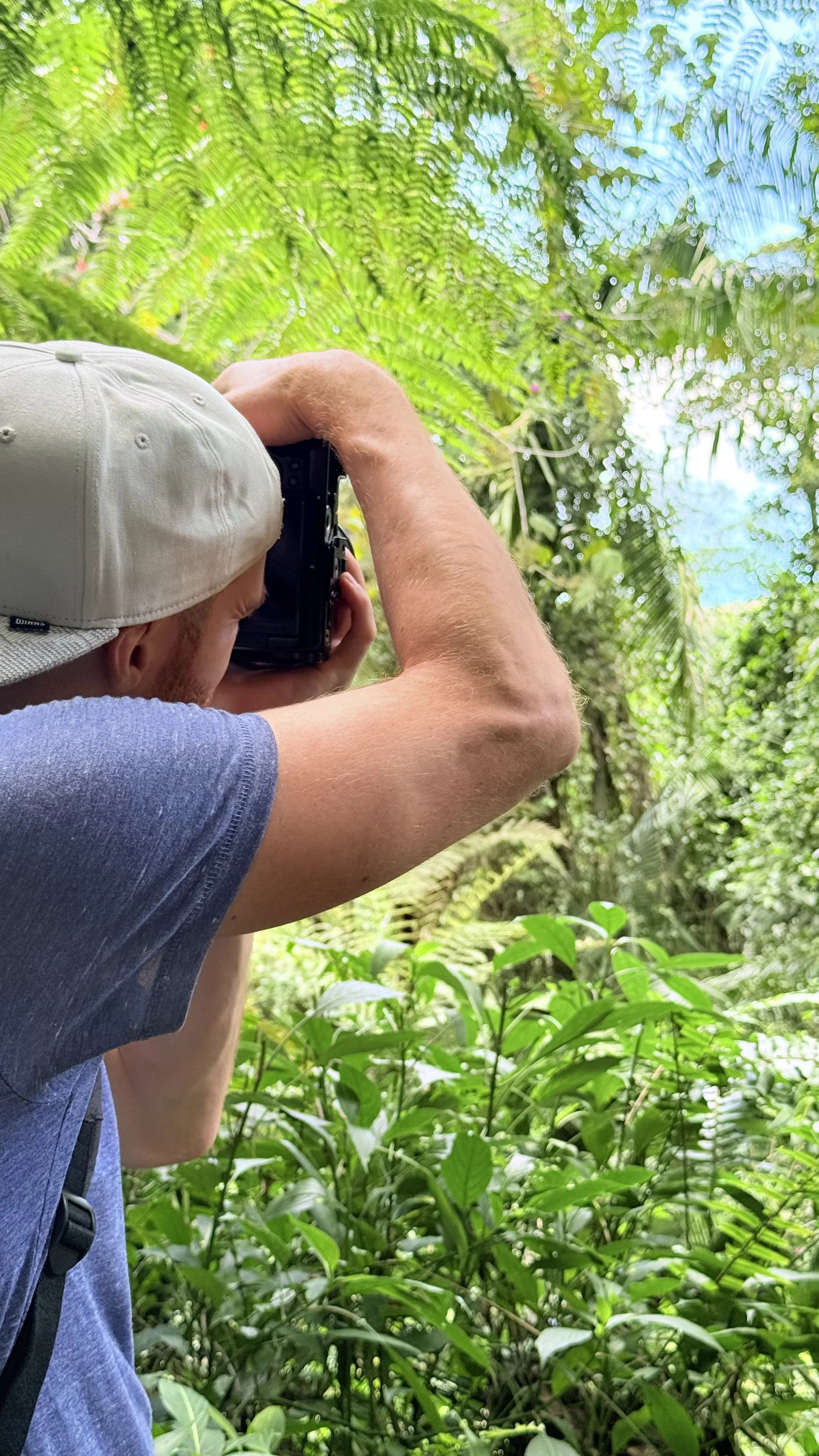 Erik van der Ven with a white cap and gray T-shirt taking a photograph of lush green rainforest foliage with a camera.