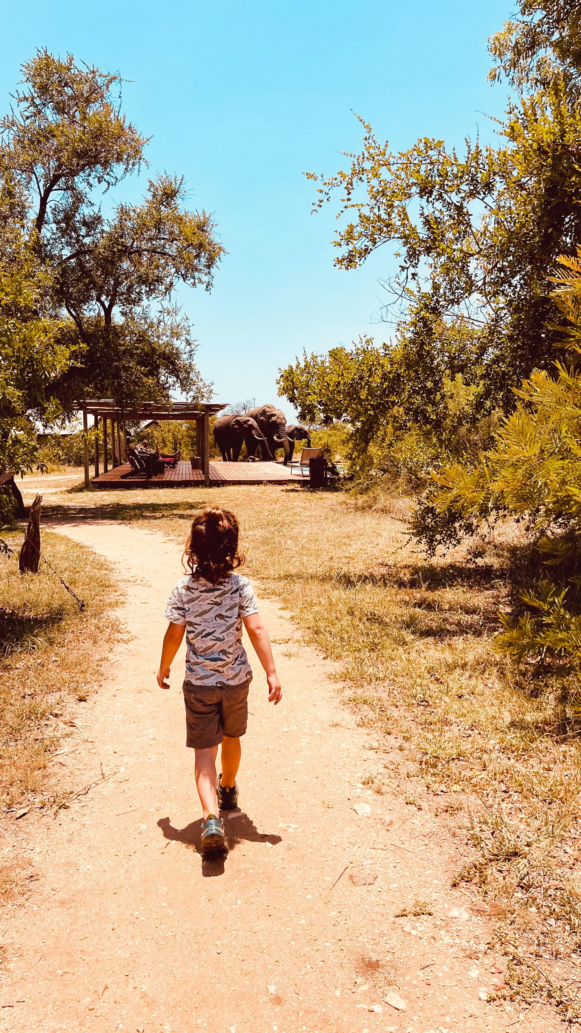 A child walking on a dirt path towards a wooden viewing deck with elephants in the background. Trees surround the scene under a clear blue sky.