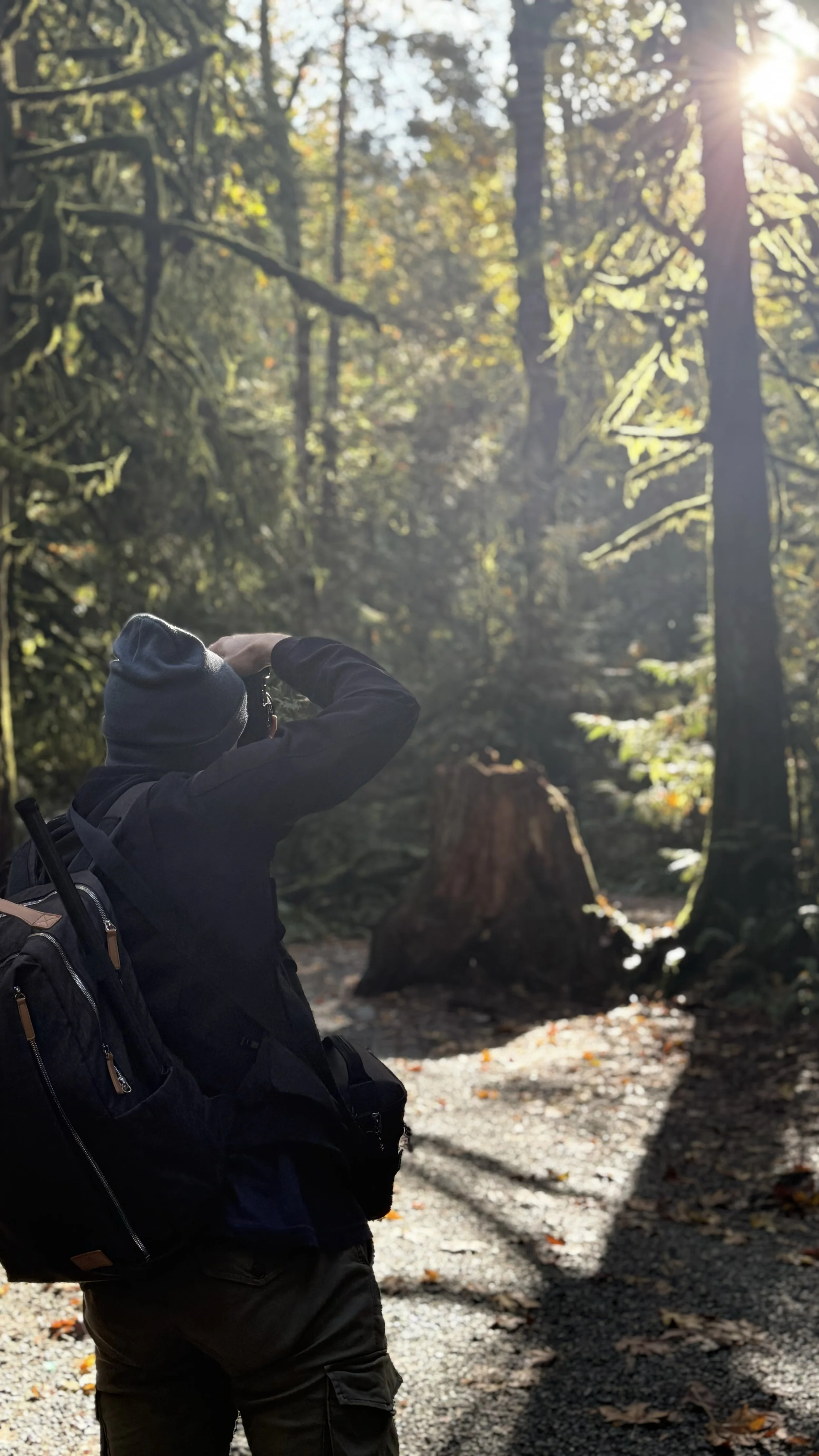 Erik van der Ven dressed in black, wearing a backpack and a blue beanie, taking a photograph in a sunlit forest with tall trees and fallen leaves on the ground.