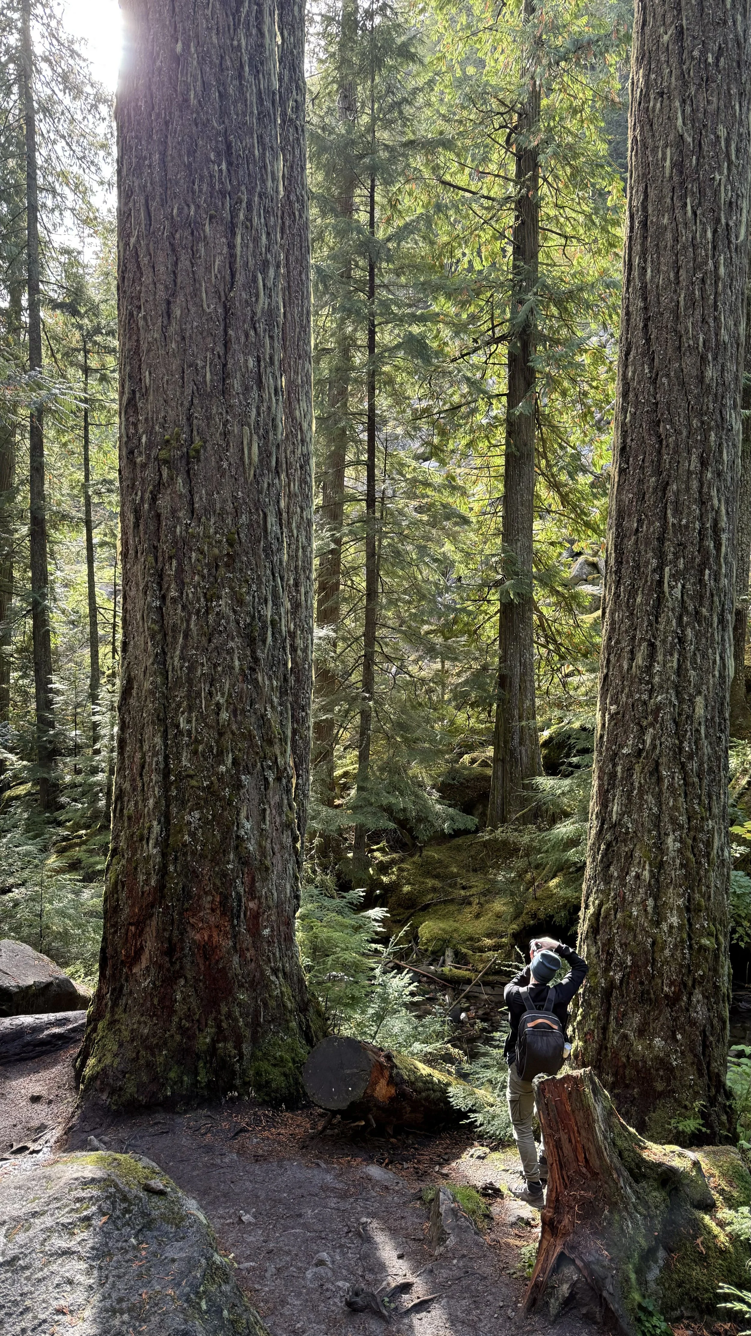 Erik van der Ven with a backpack, wearing outdoor gear and a hat, stands on a trail in a dense forest with tall trees and lush greenery, taking a photograph.