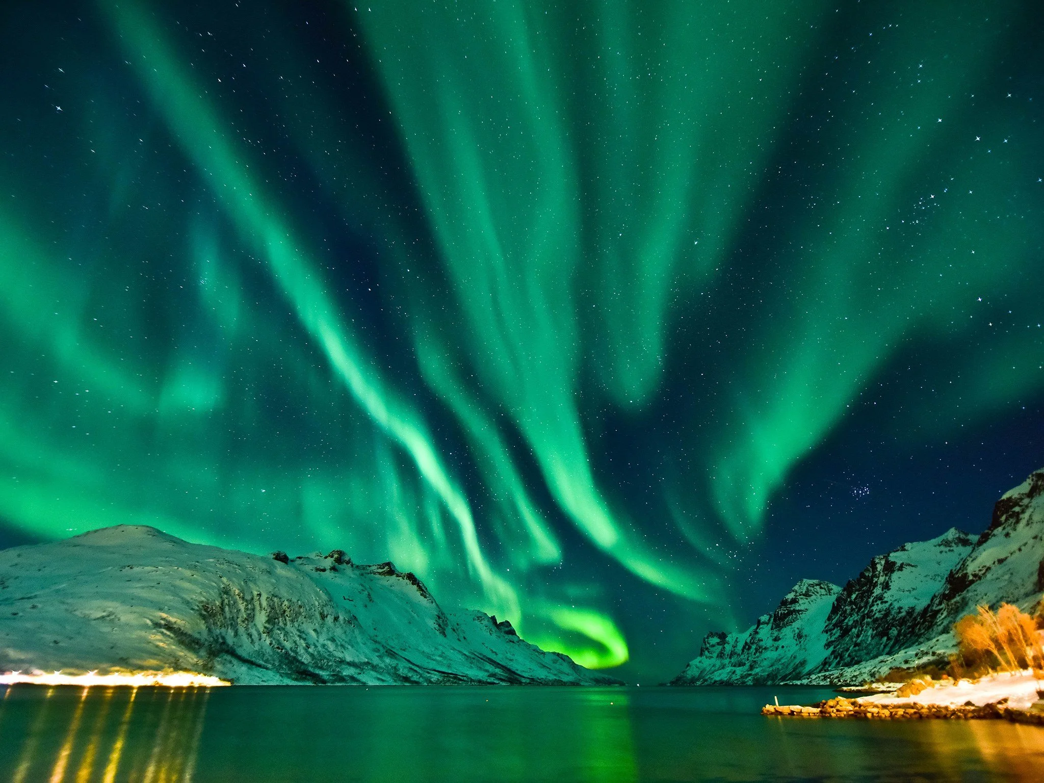 Northern lights display over snow-covered mountains and a body of water at night.