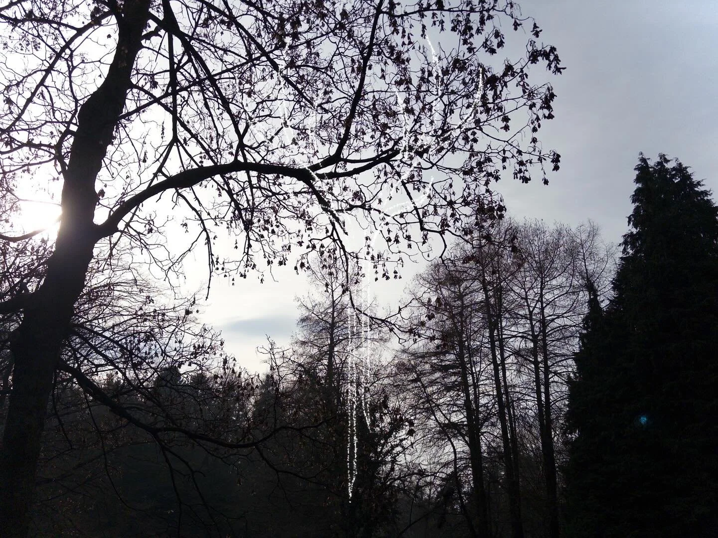 @kastlefive Be well Be free.