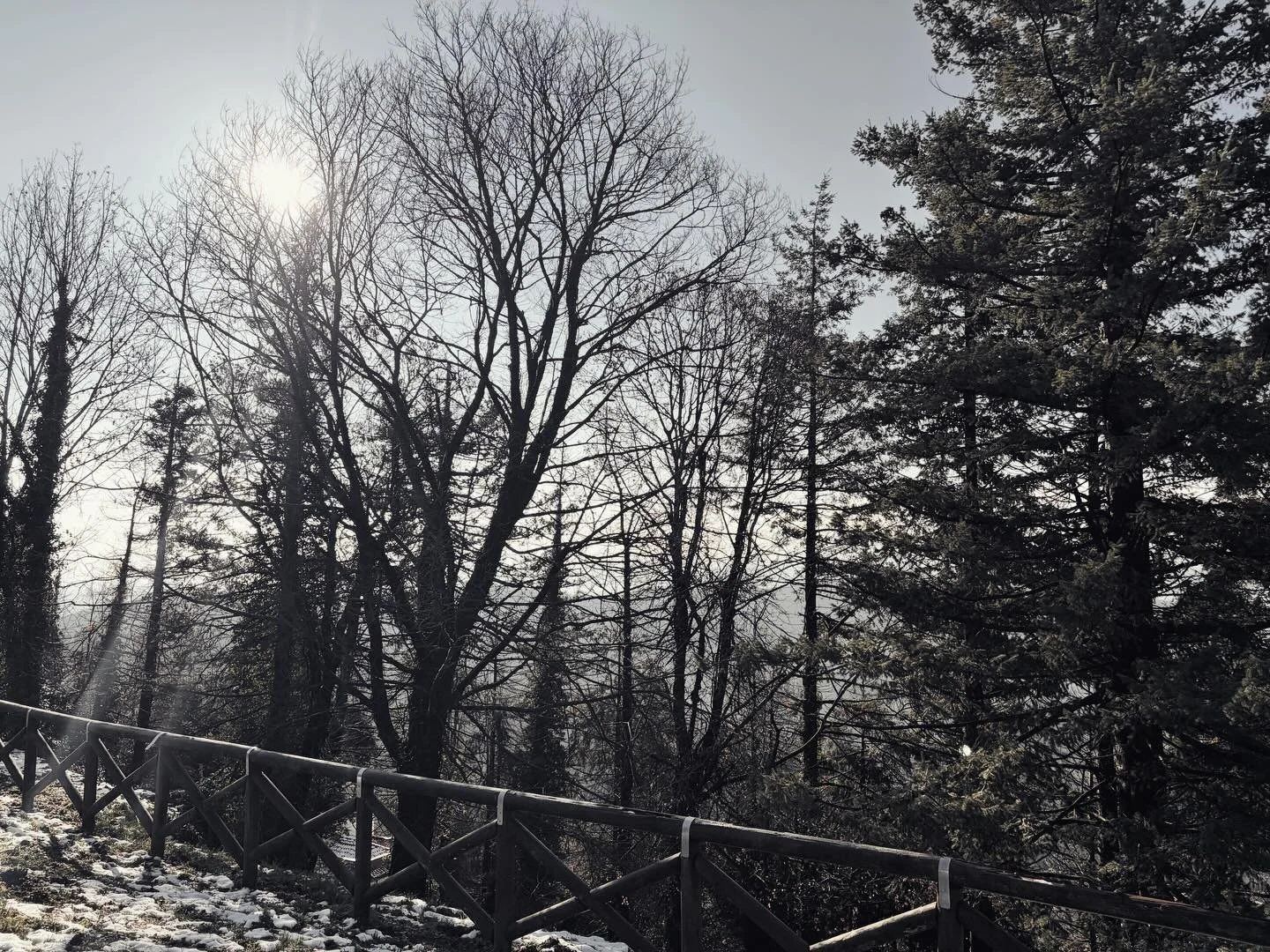 I will lay down my thanks and burdens in these woods. Peak emunah.