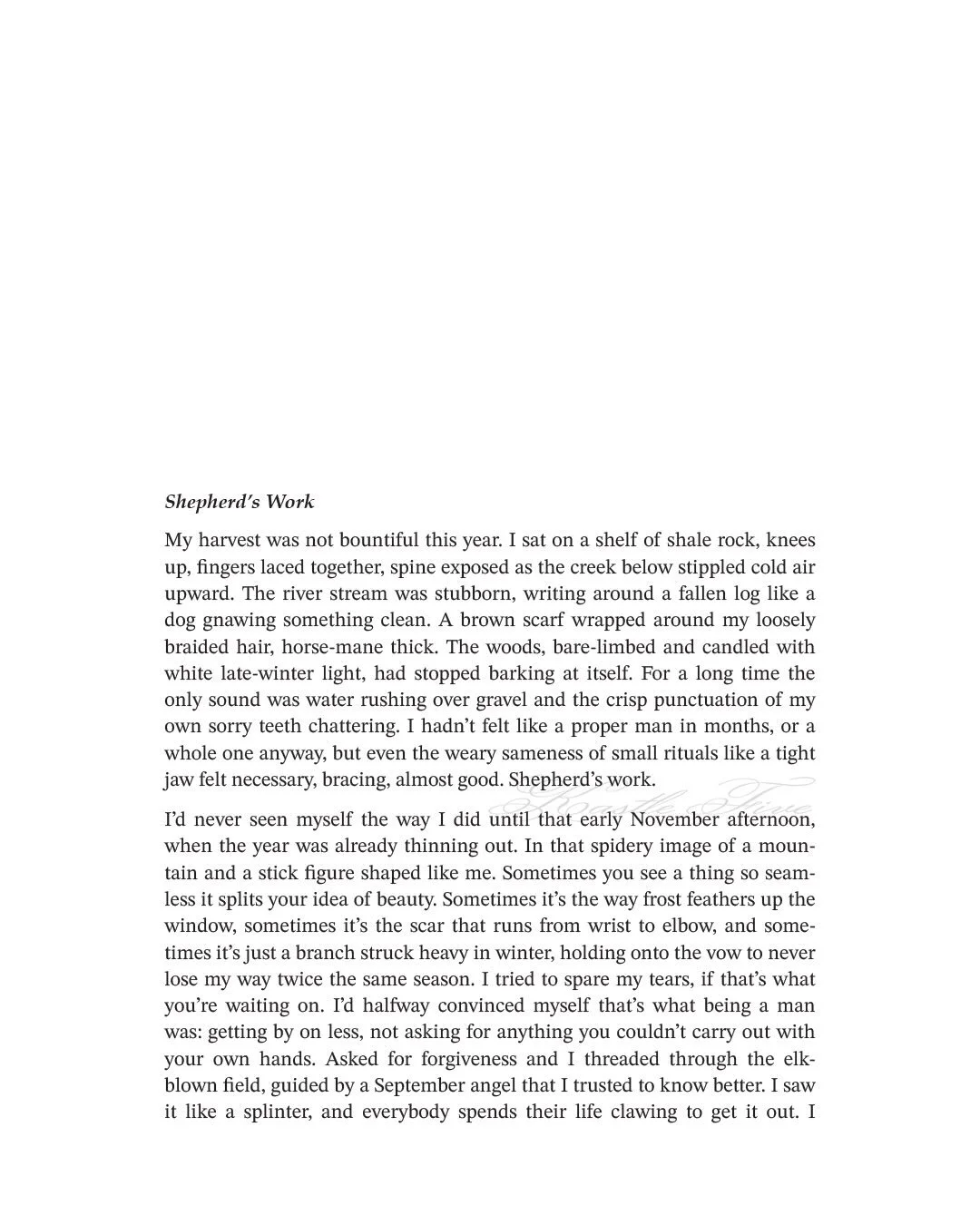 Shepherd's work. Godspeed in the new year 🪶