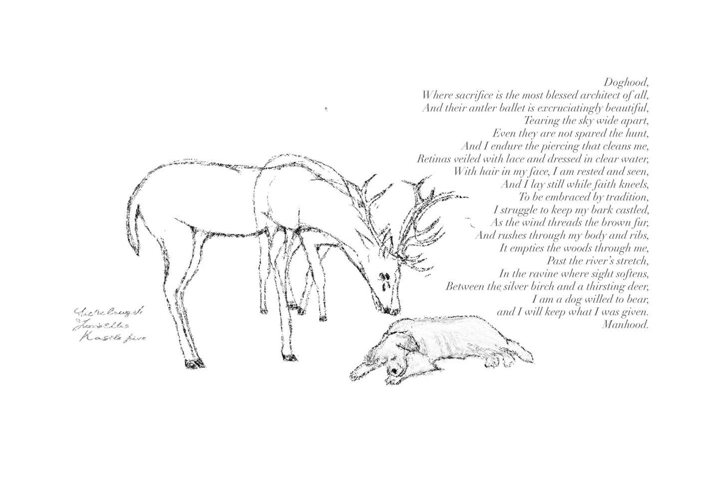Doghood,
Where sacrifice is the most blessed architect of all,
And their antler ballet is excruciatingly beautiful,
Tearing the sky wide apart,
Even they are not spared the hunt,
And I endure the piercing that cleans me,
Retinas veiled with lace and 