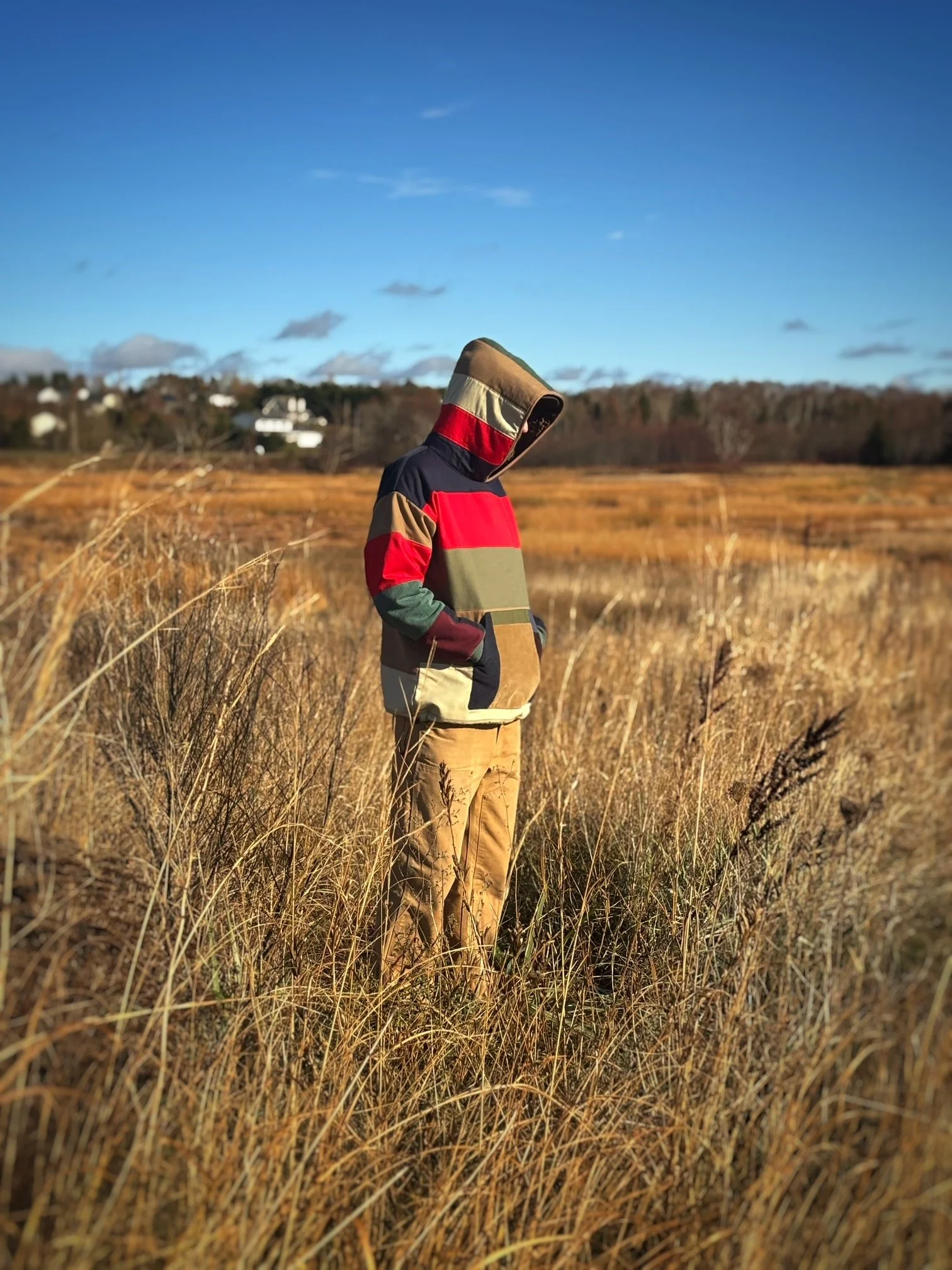 A person wearing a multicolored jacket with a hood stands with hands in pockets in a field of tall, dry grass under a partly cloudy sky.